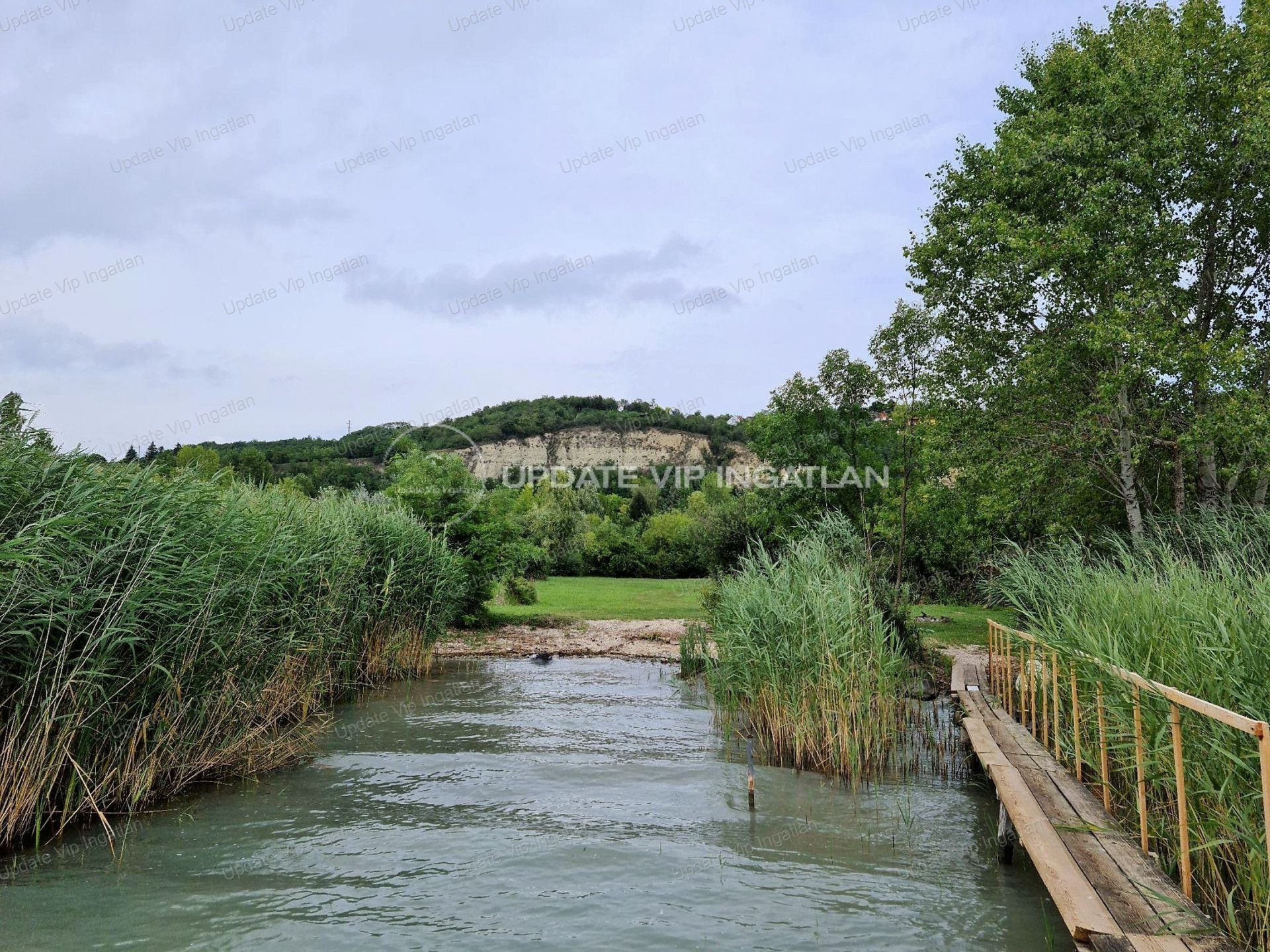 vizjeles_4408678
