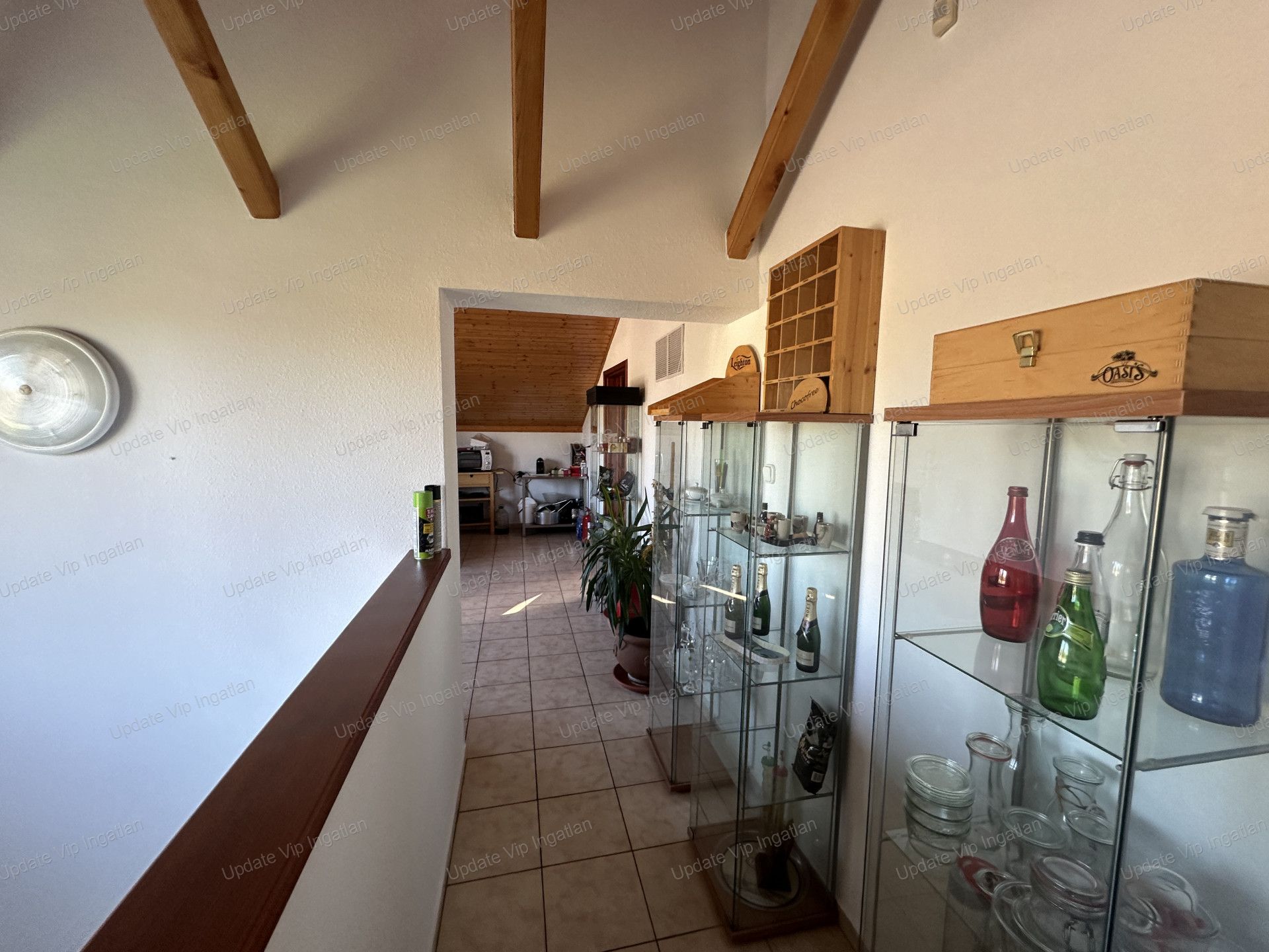 vizjeles_5485271