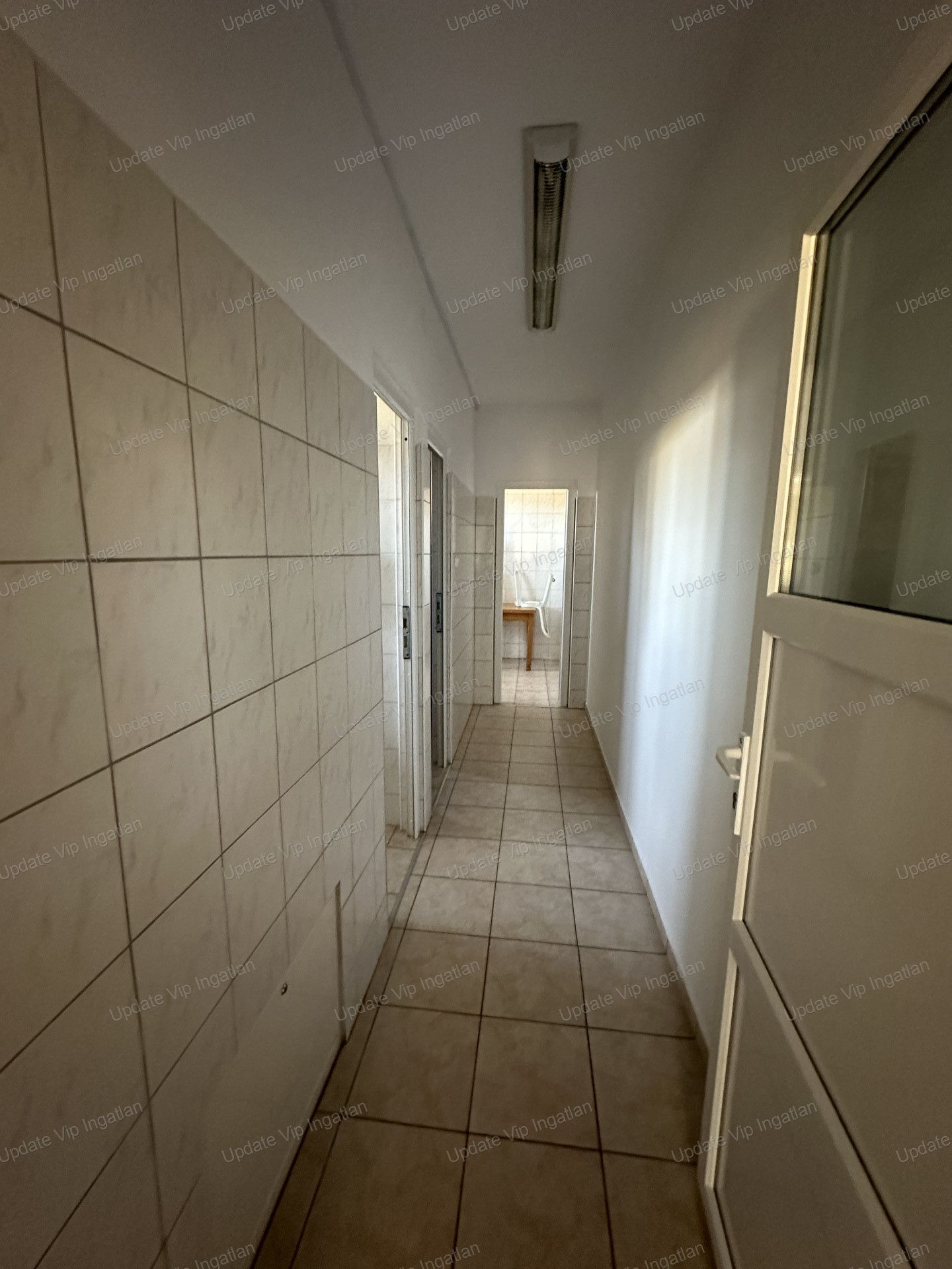 vizjeles_5485280