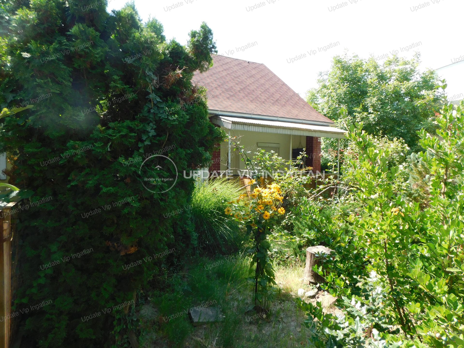 vizjeles_4408554