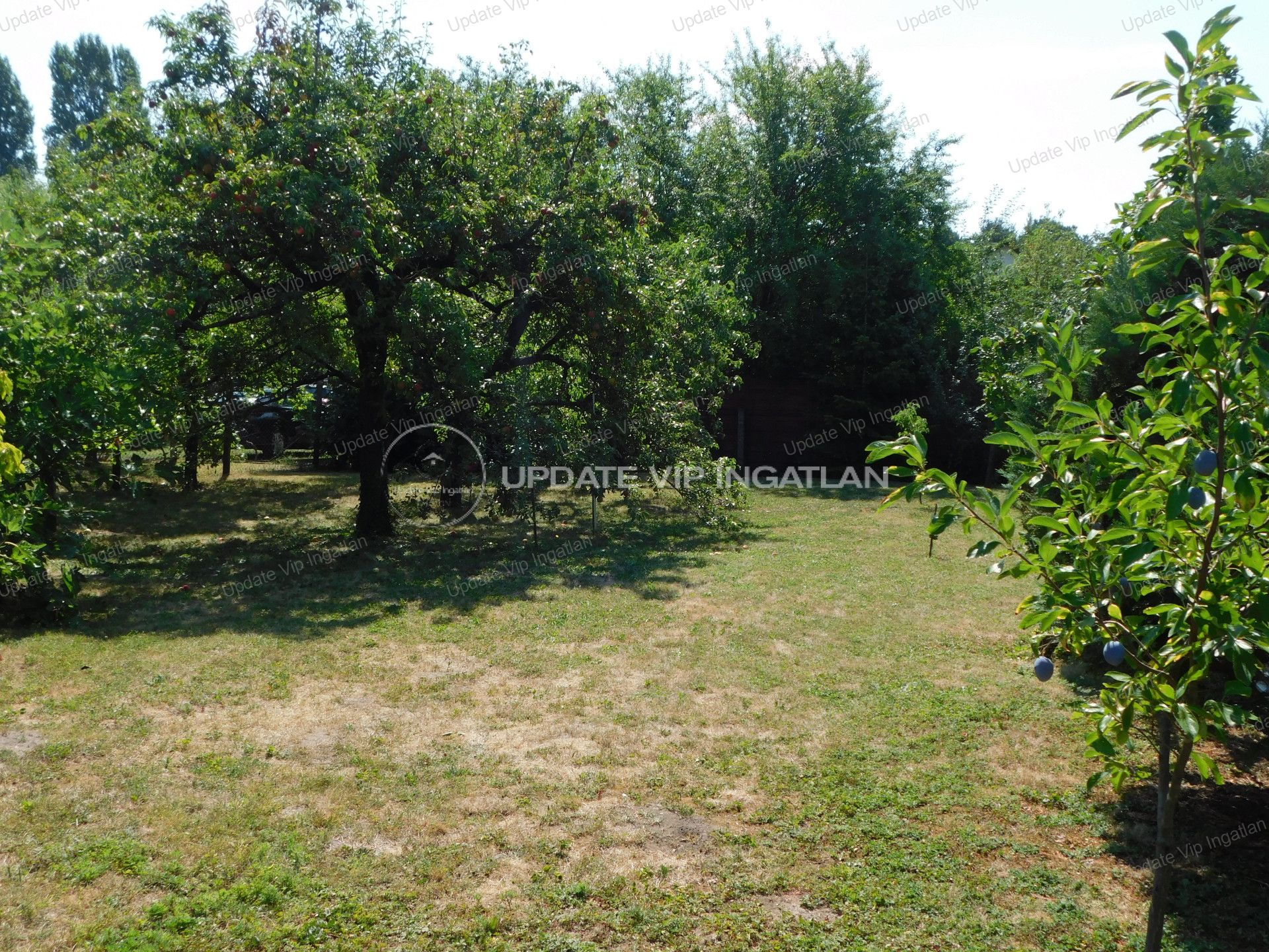 vizjeles_4408555