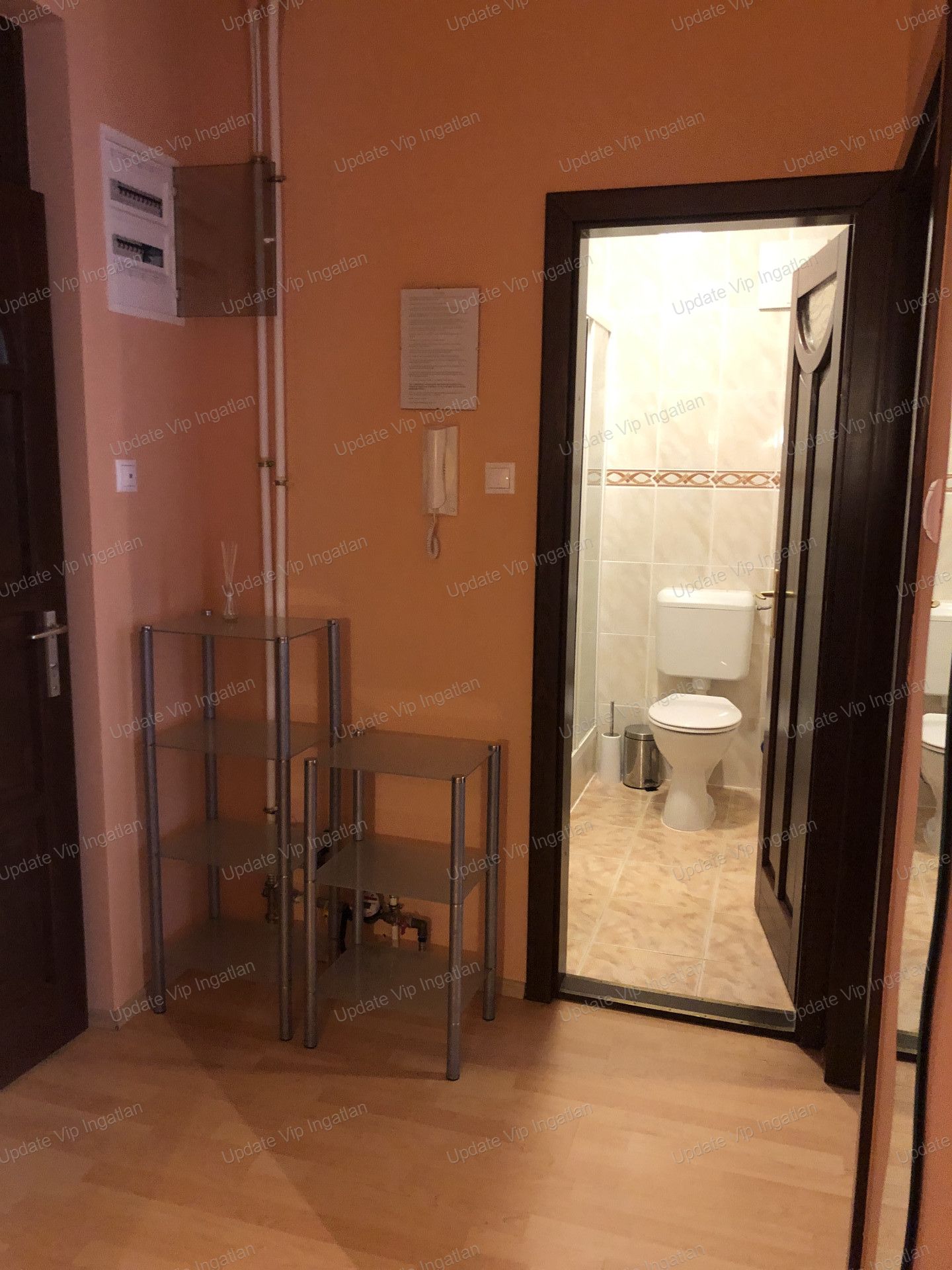 vizjeles_4581443