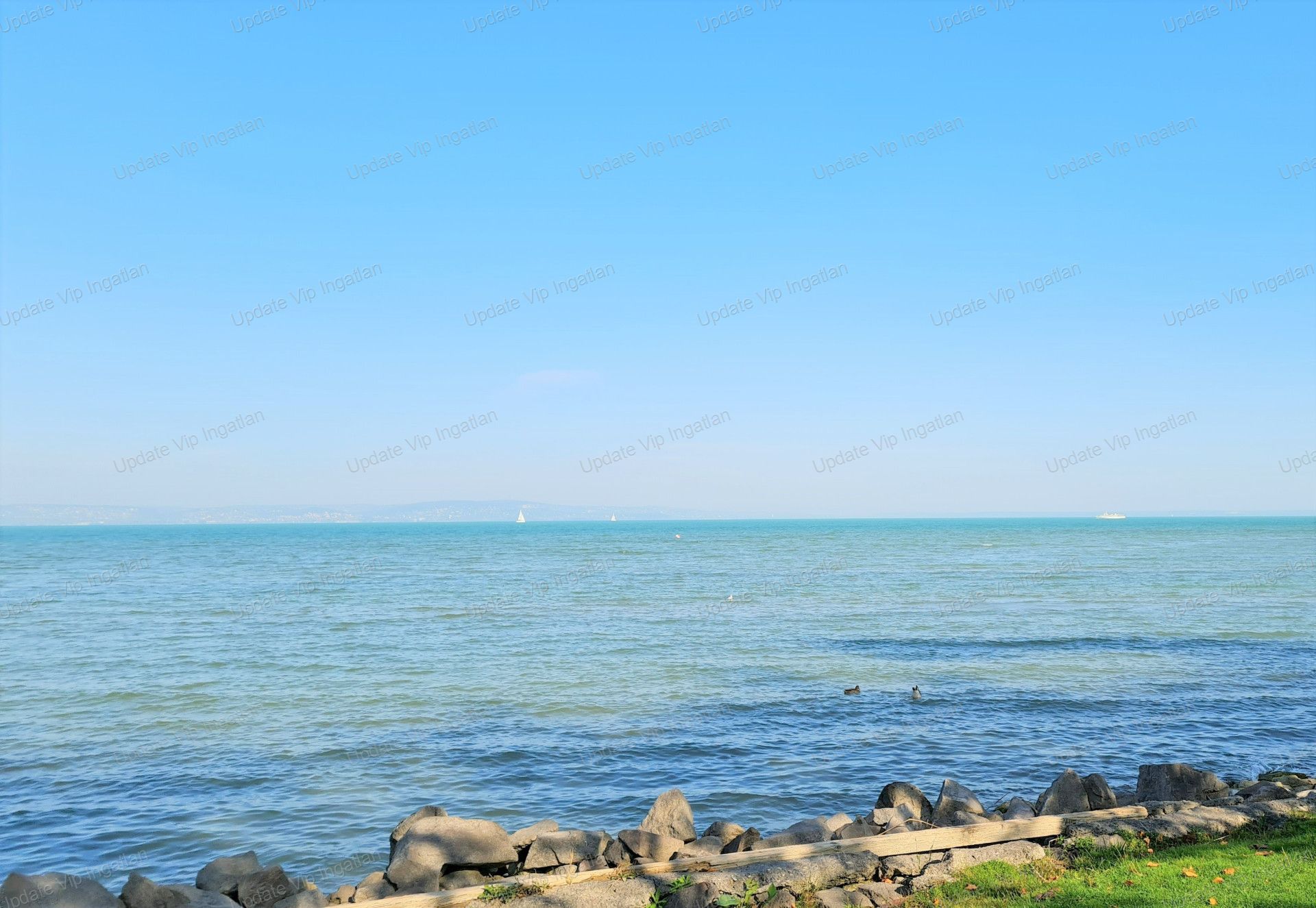 vizjeles_4654148