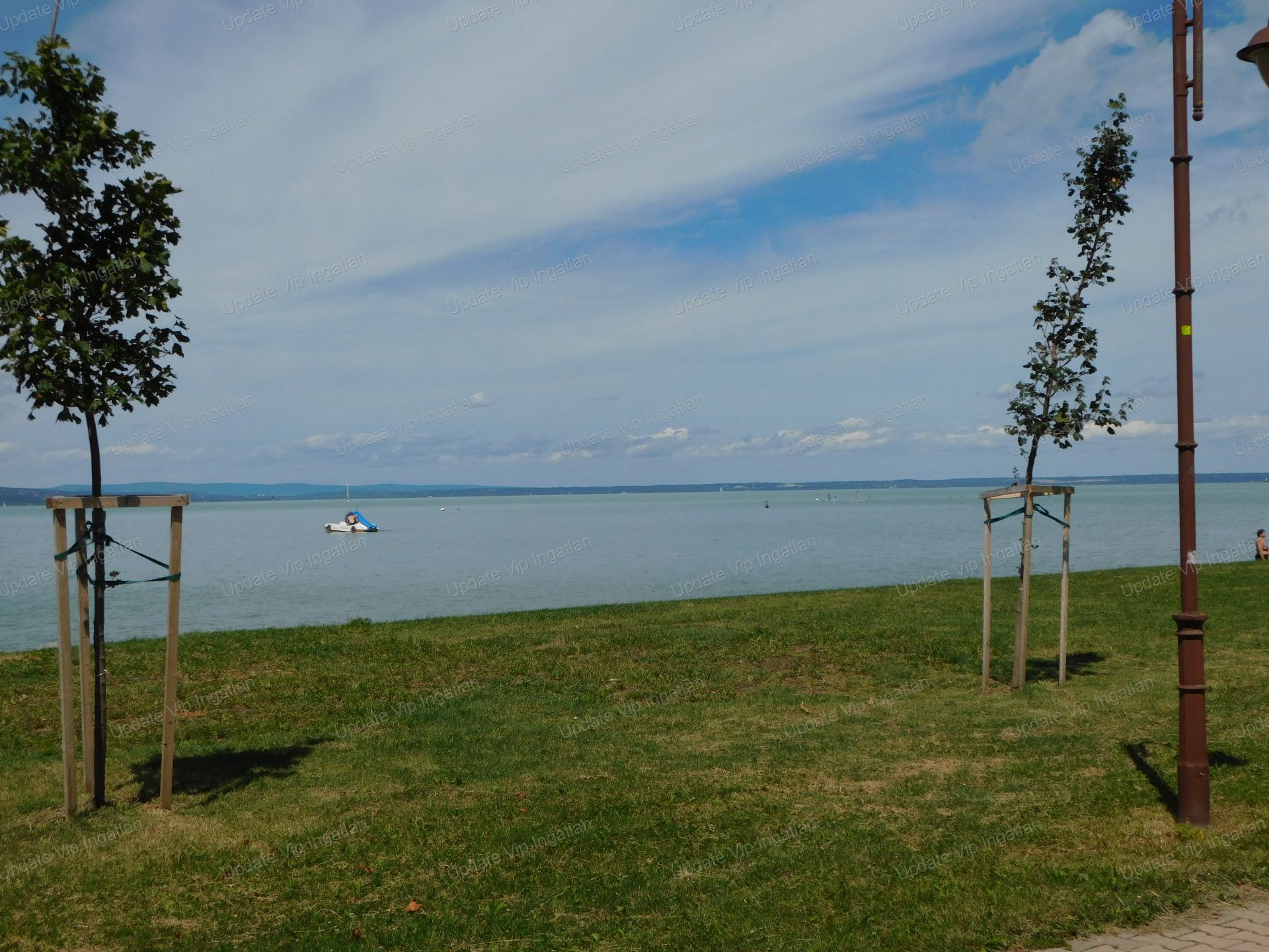 vizjeles_4908790