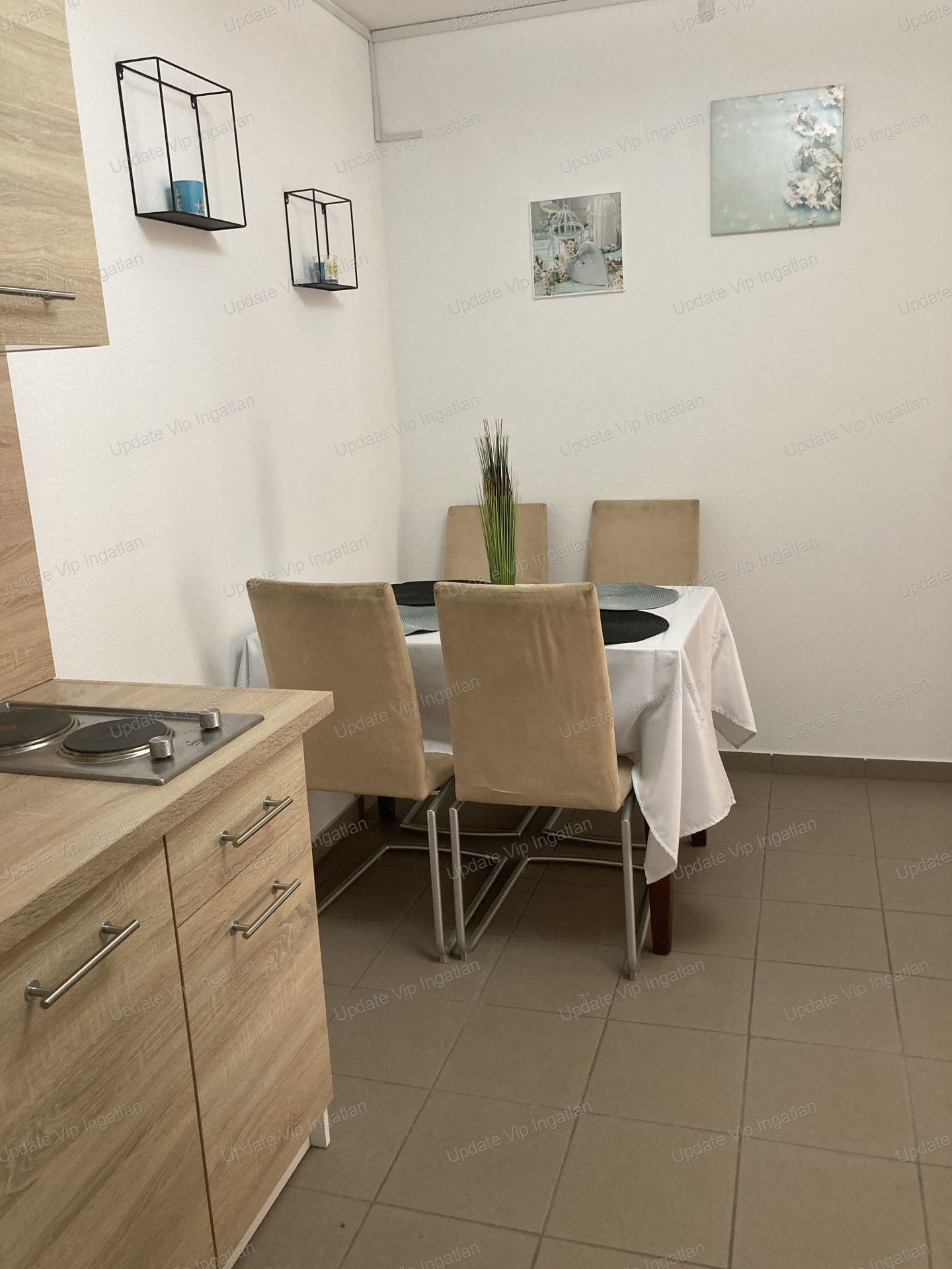 vizjeles_5120937