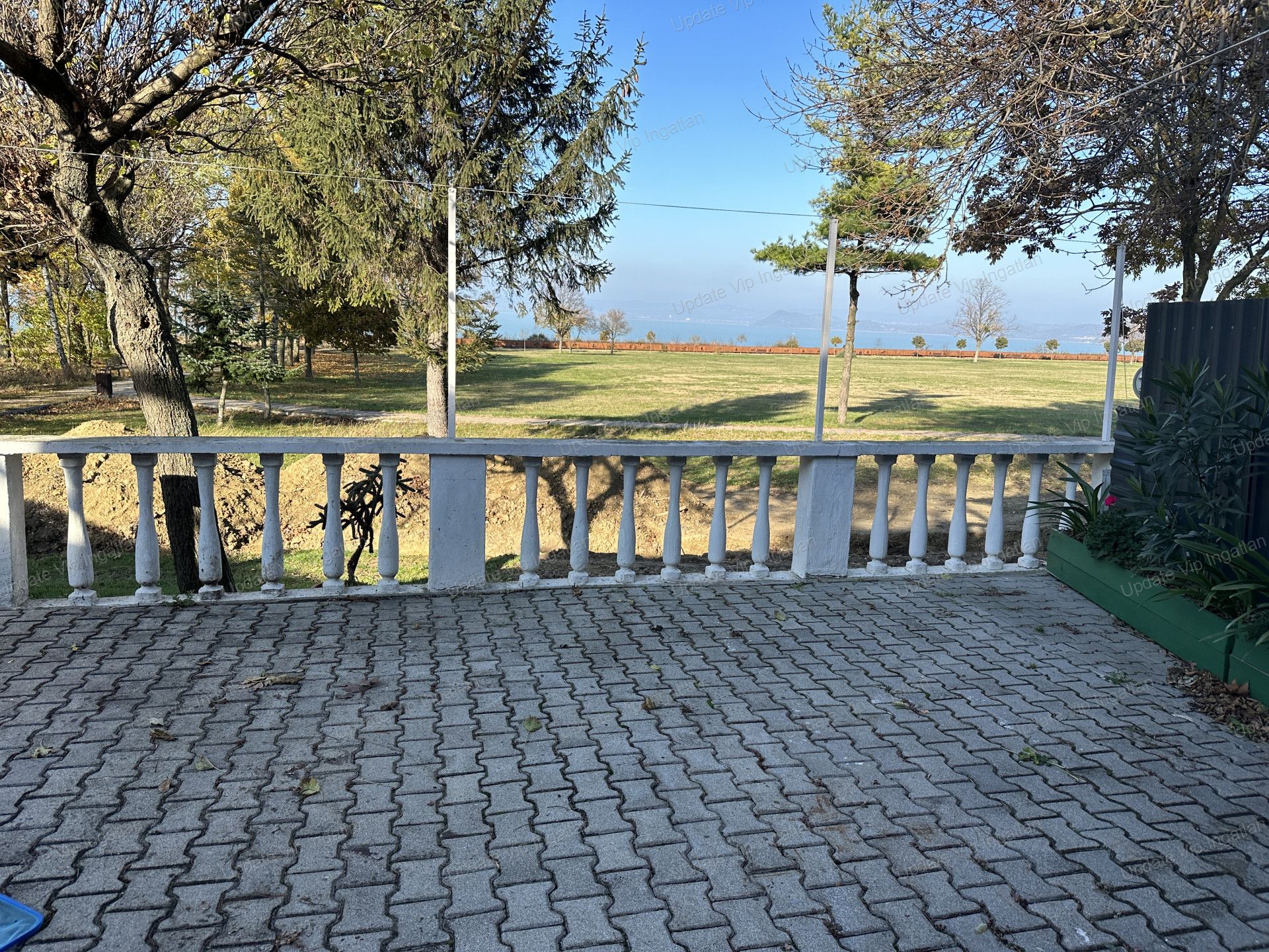 vizjeles_5367847