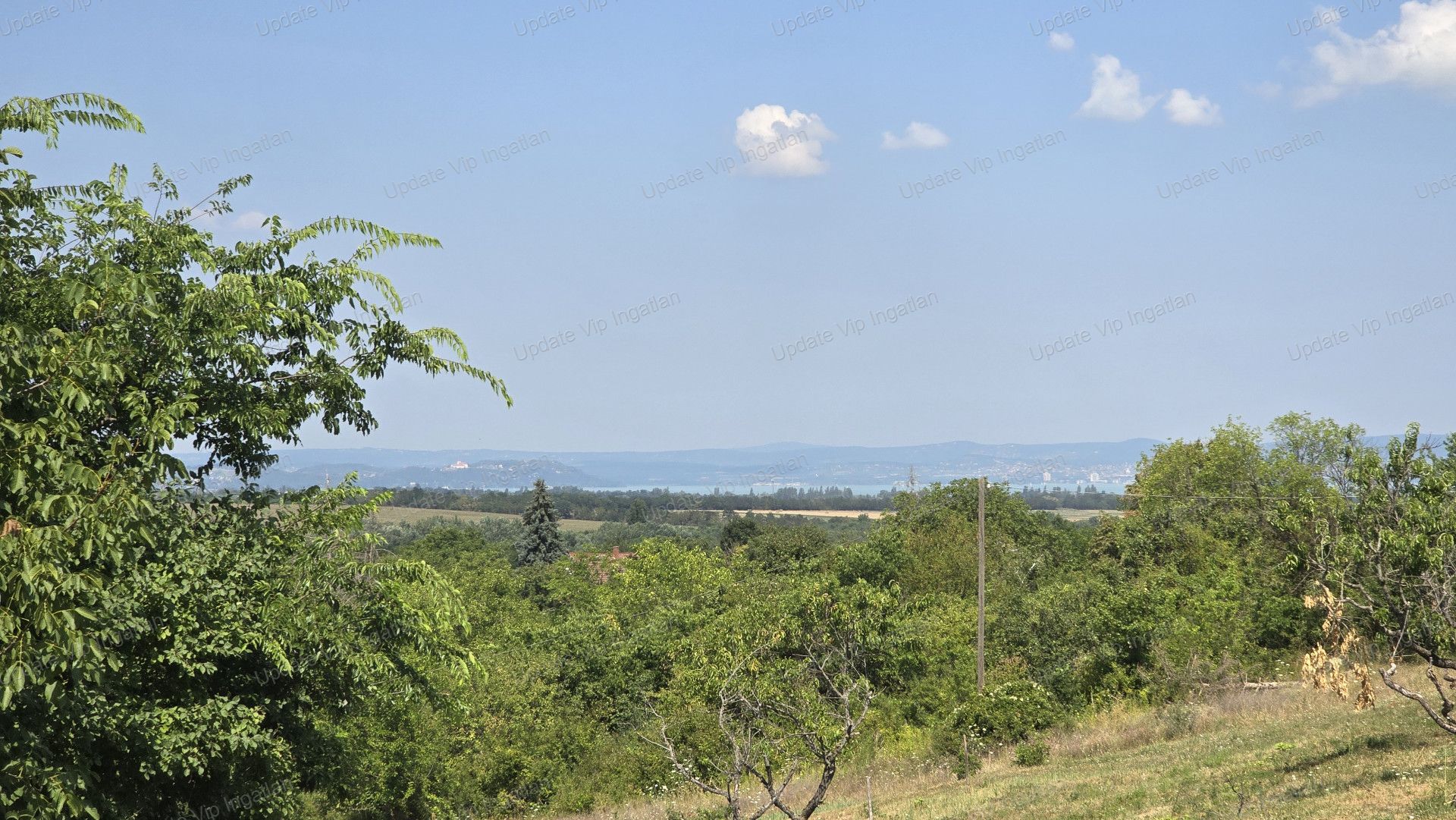 vizjeles_5394274