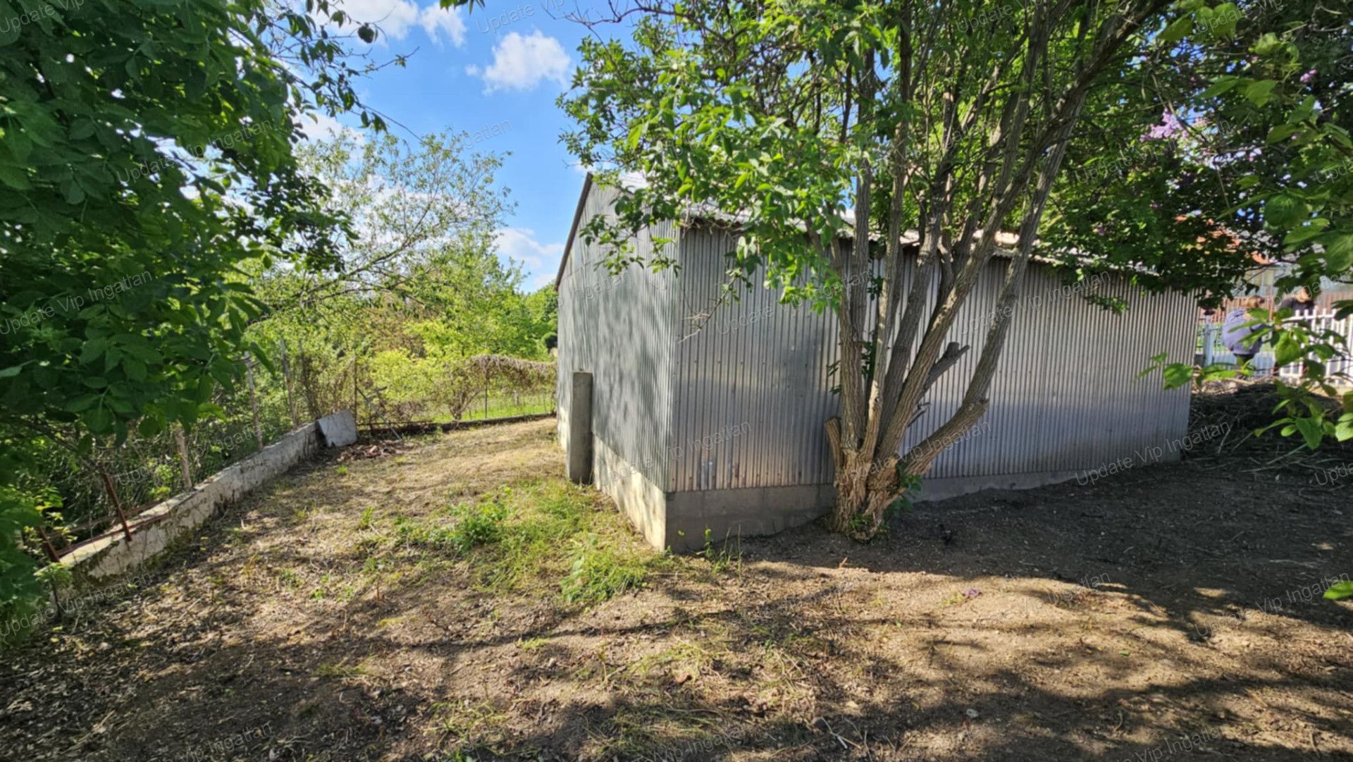 vizjeles_5739366