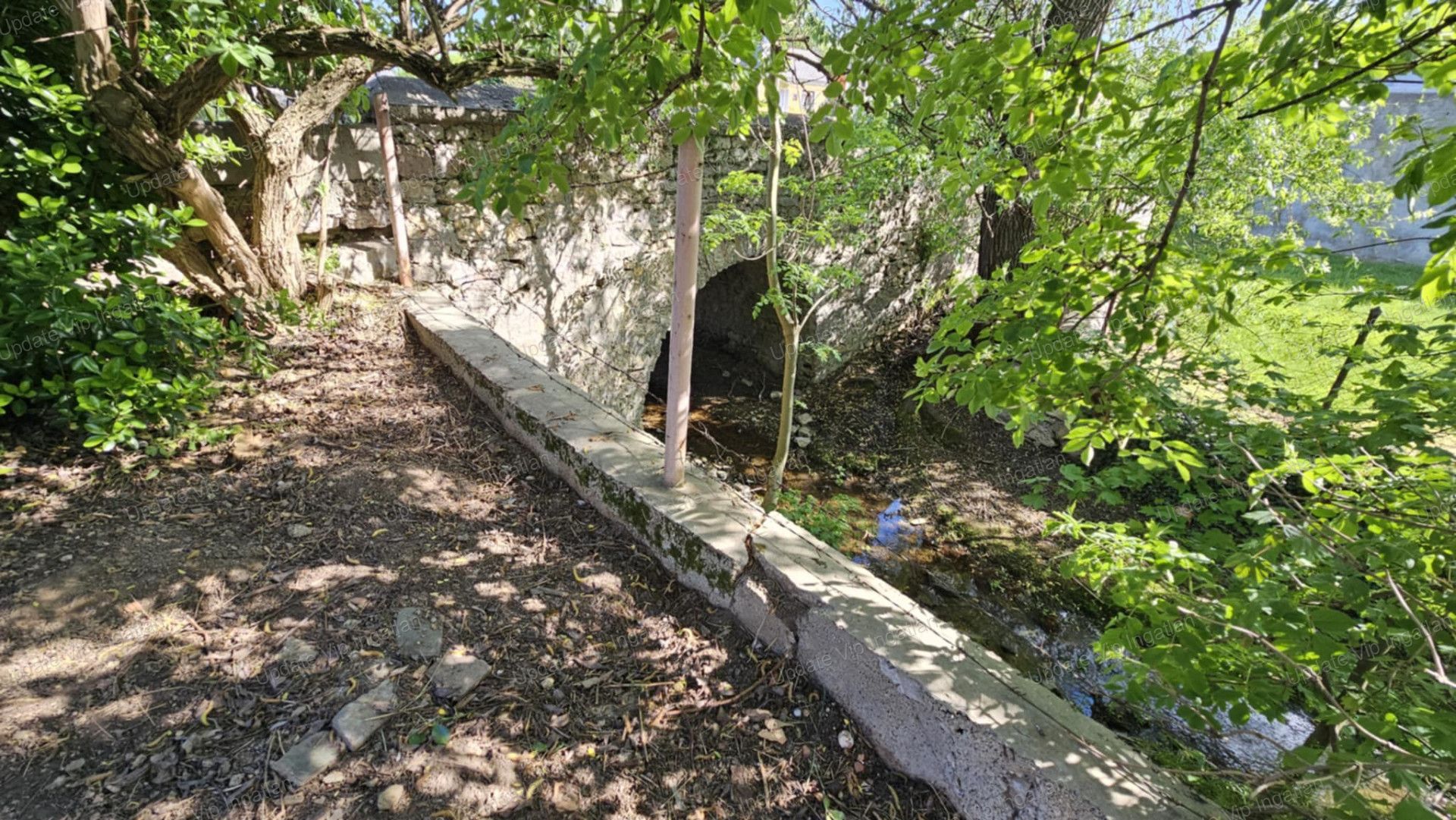 vizjeles_5739371