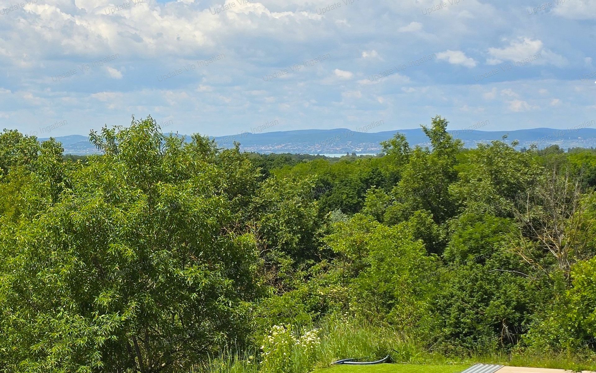 vizjeles_5787692