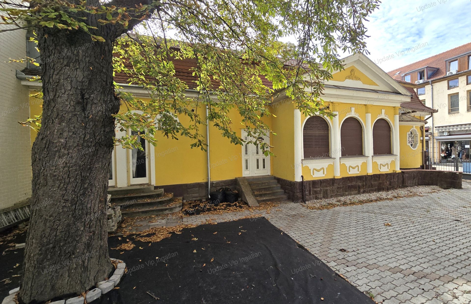 vizjeles_5916710