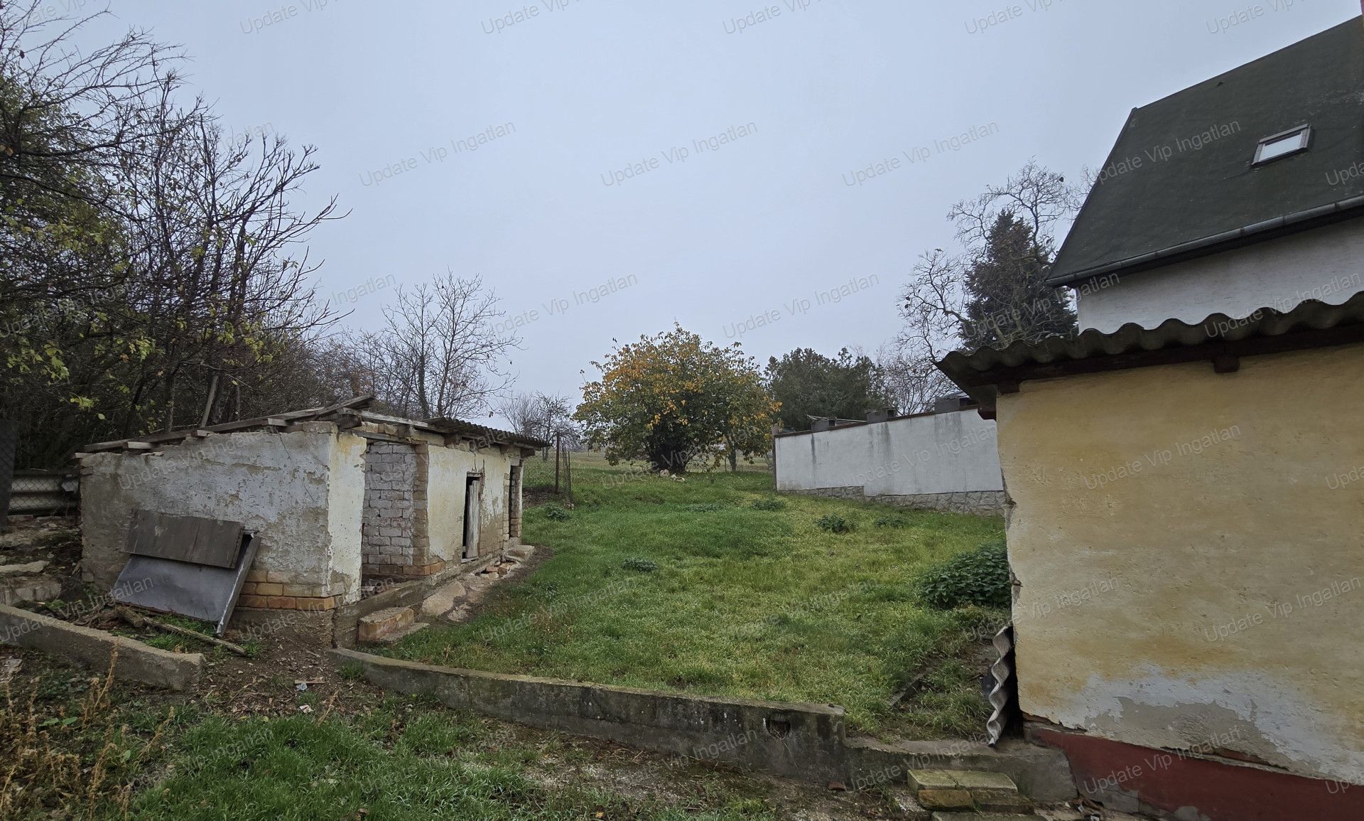 vizjeles_5992422