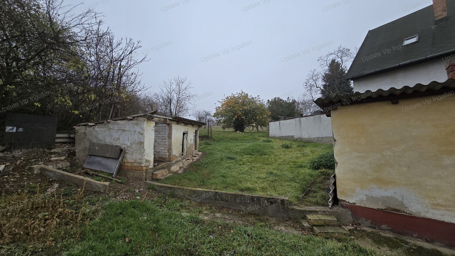 vizjeles_5992636