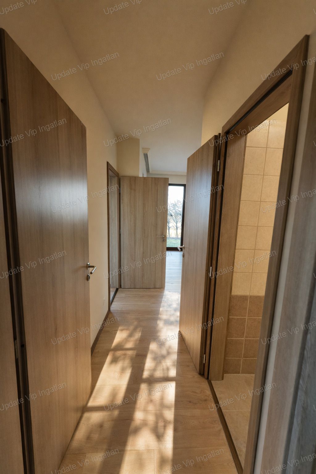 vizjeles_6111550