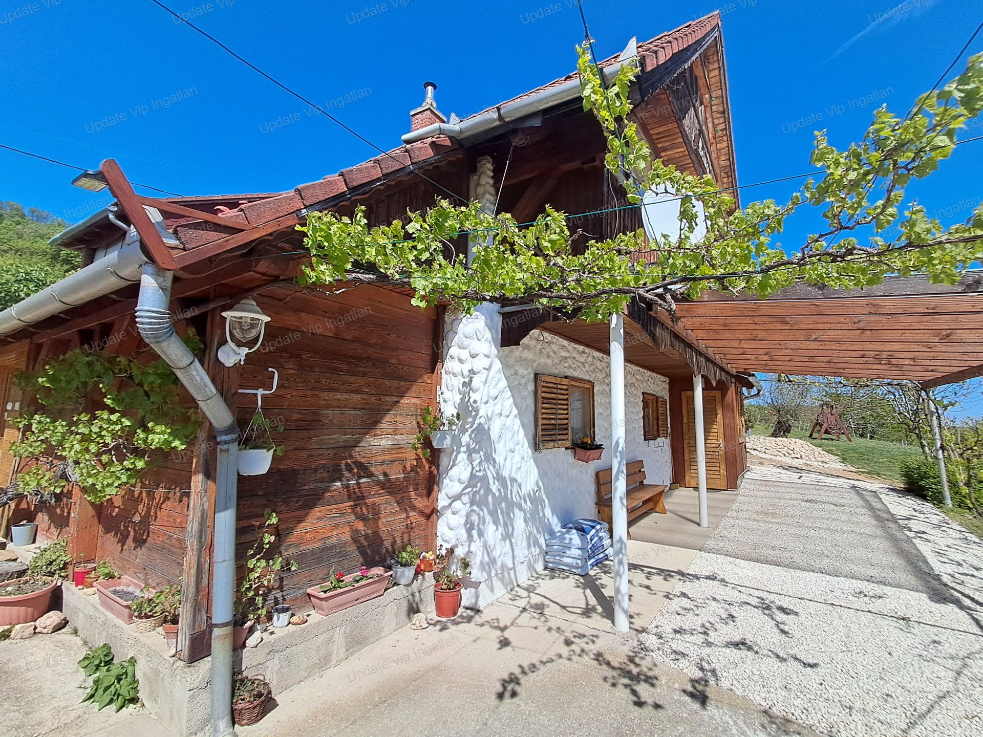 vizjeles_6174714