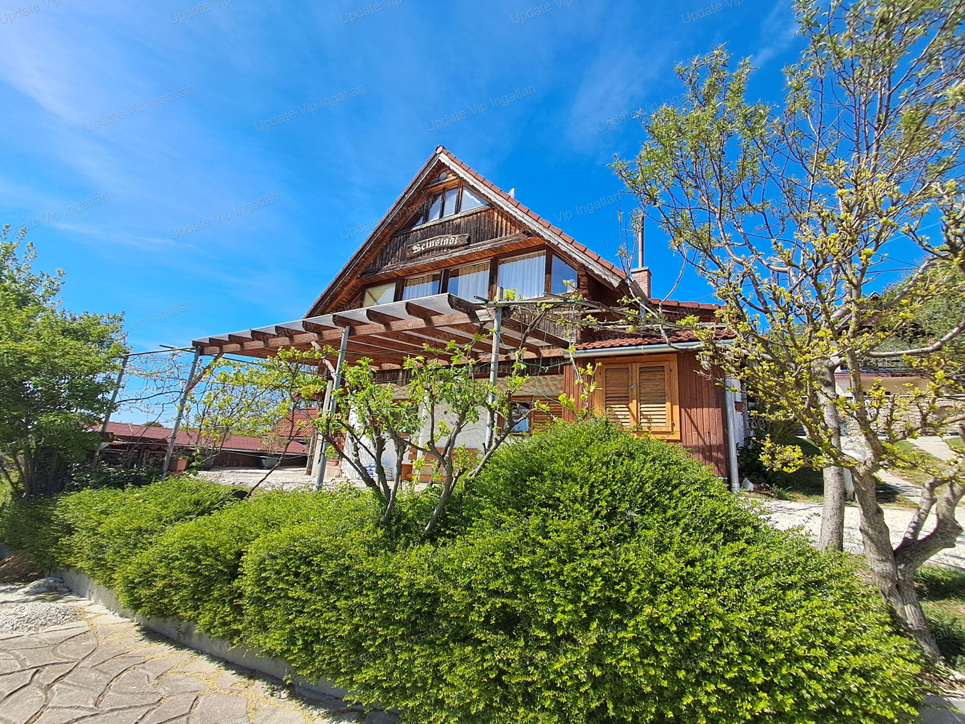 vizjeles_6174716