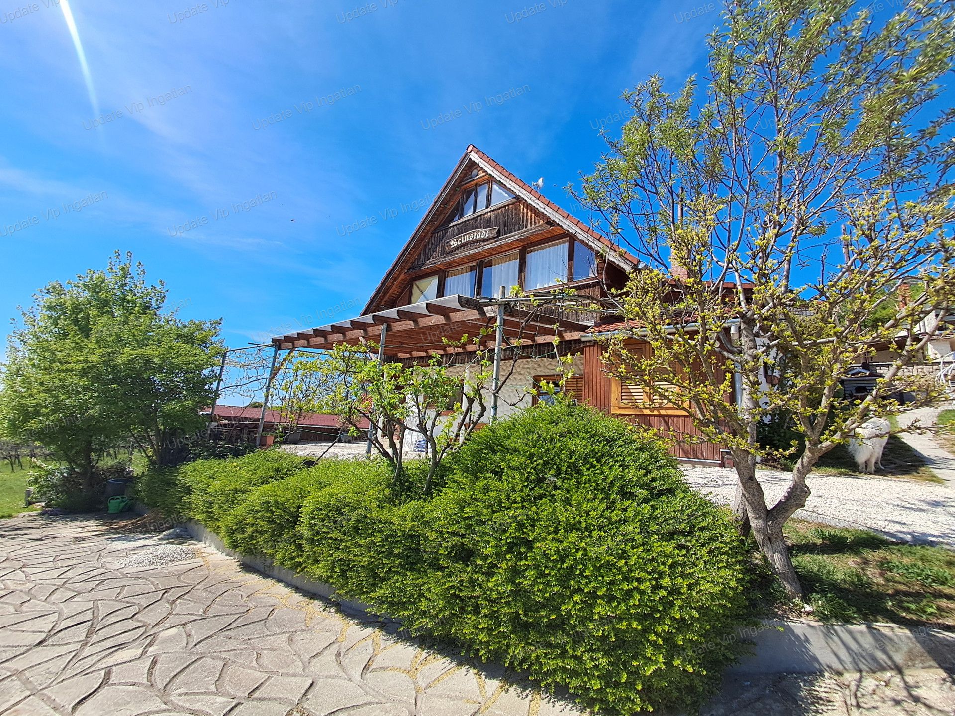vizjeles_6174724
