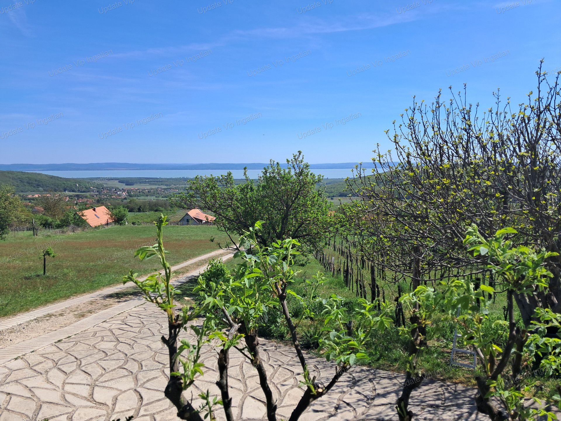 vizjeles_6174725