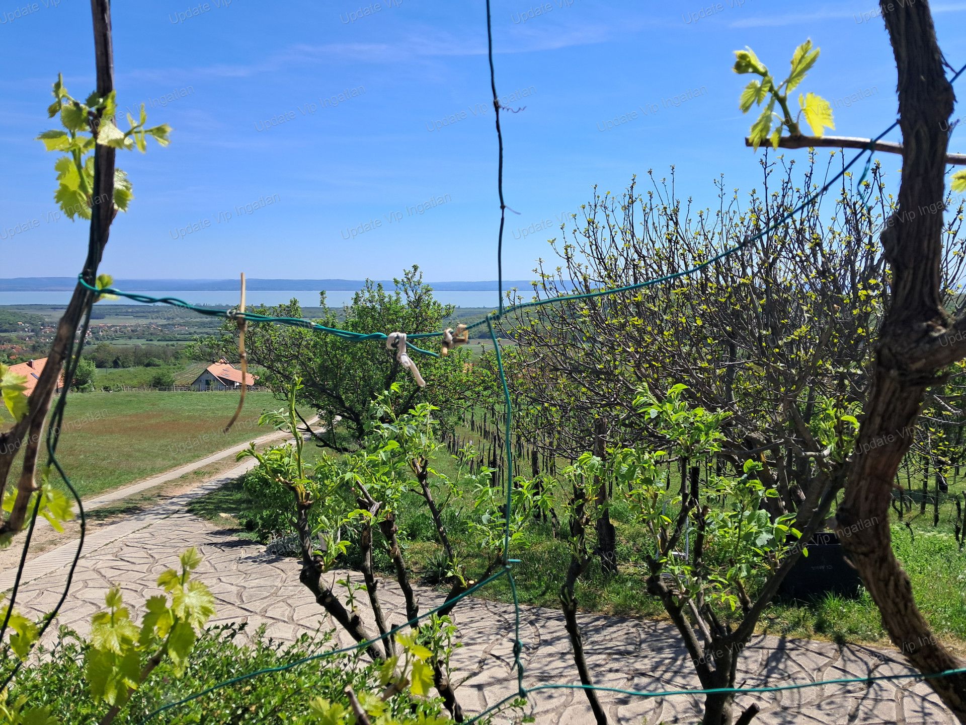 vizjeles_6174726
