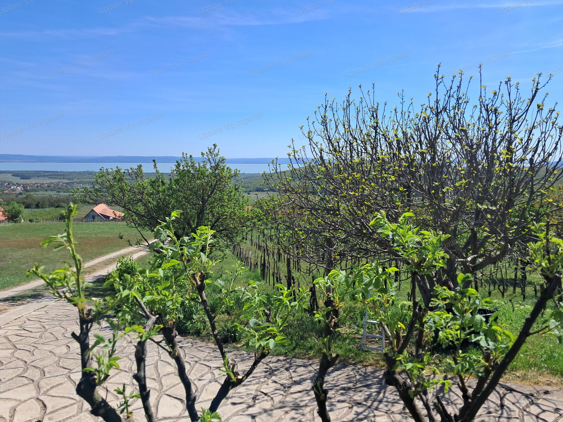 vizjeles_6174727