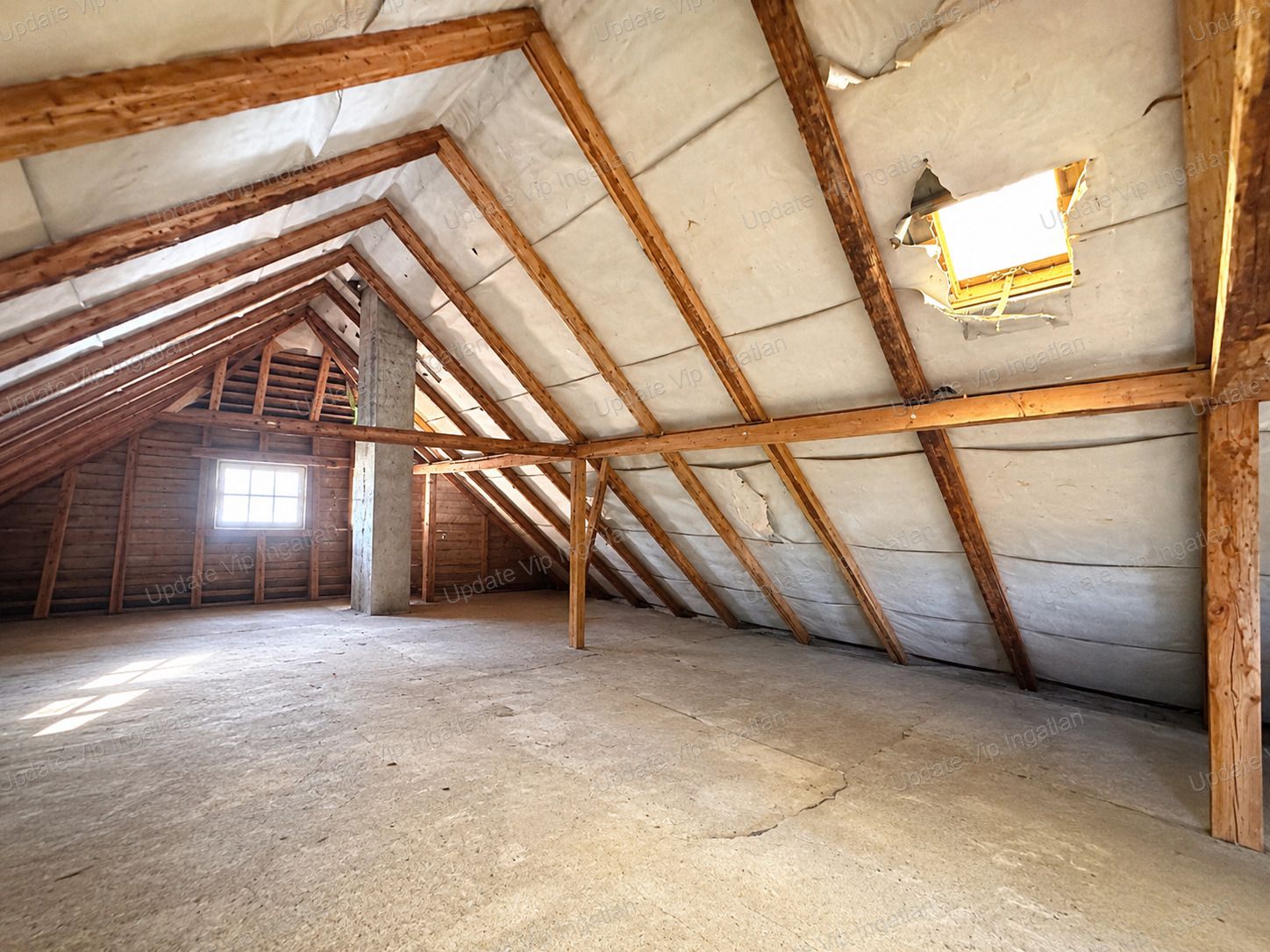 vizjeles_6206395
