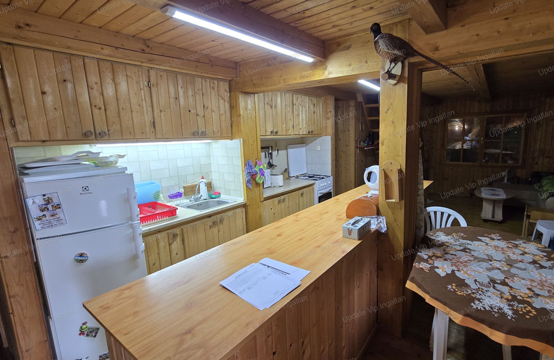 vizjeles_5970301