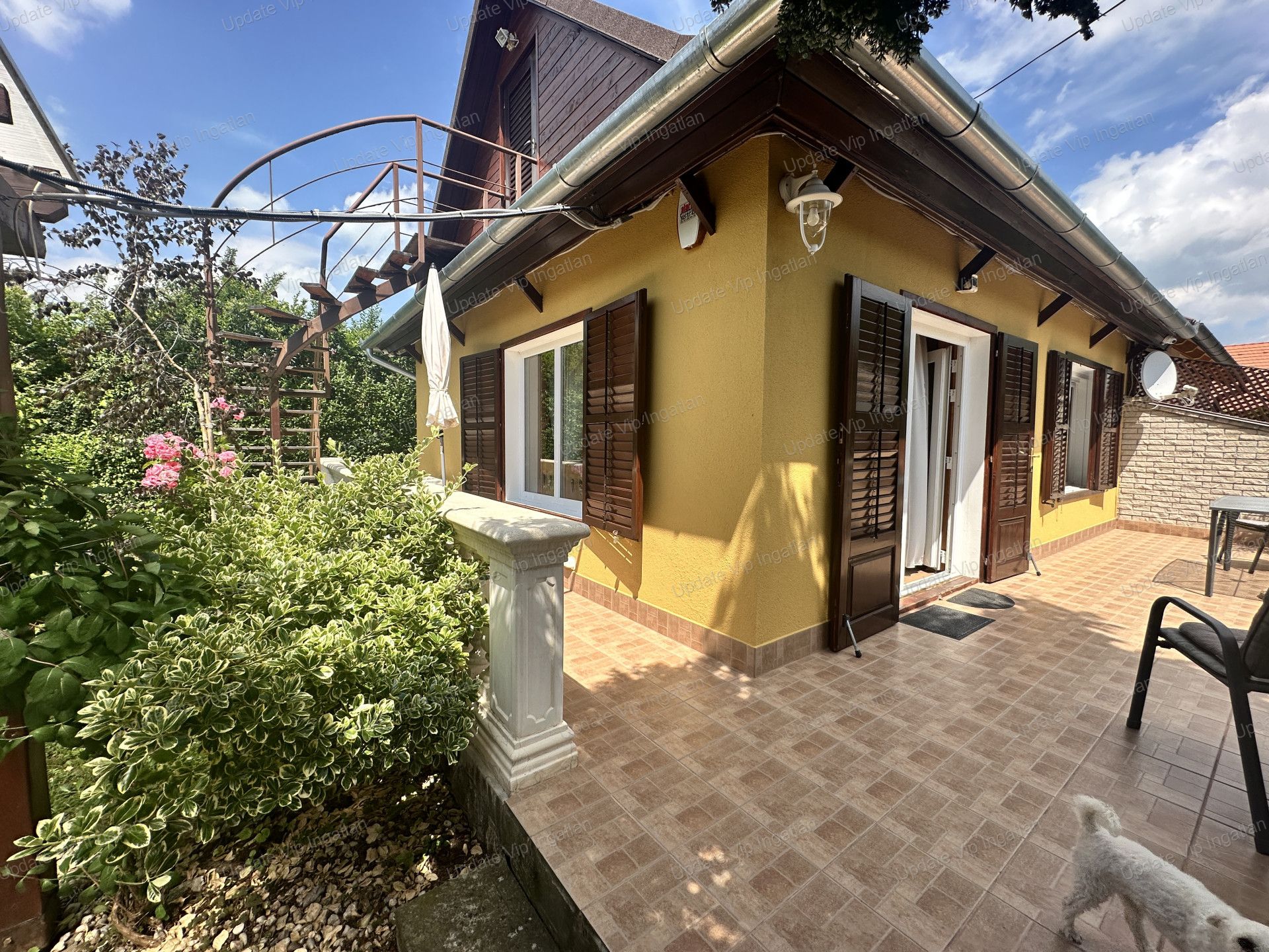 vizjeles_6218958
