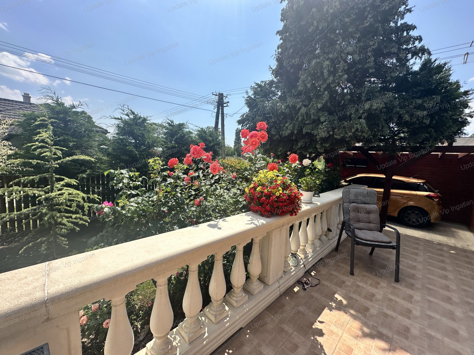 vizjeles_6218959