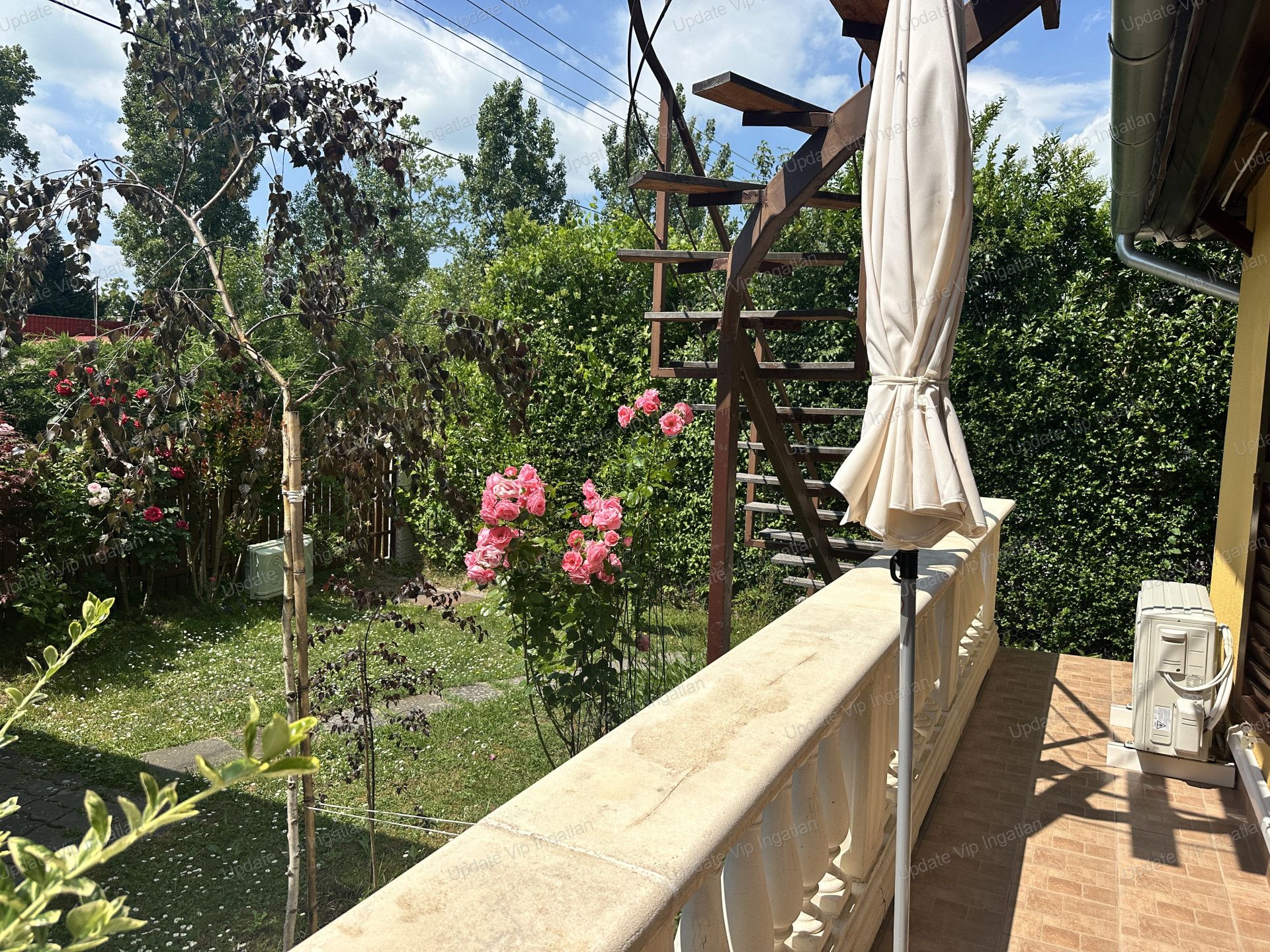 vizjeles_6218961