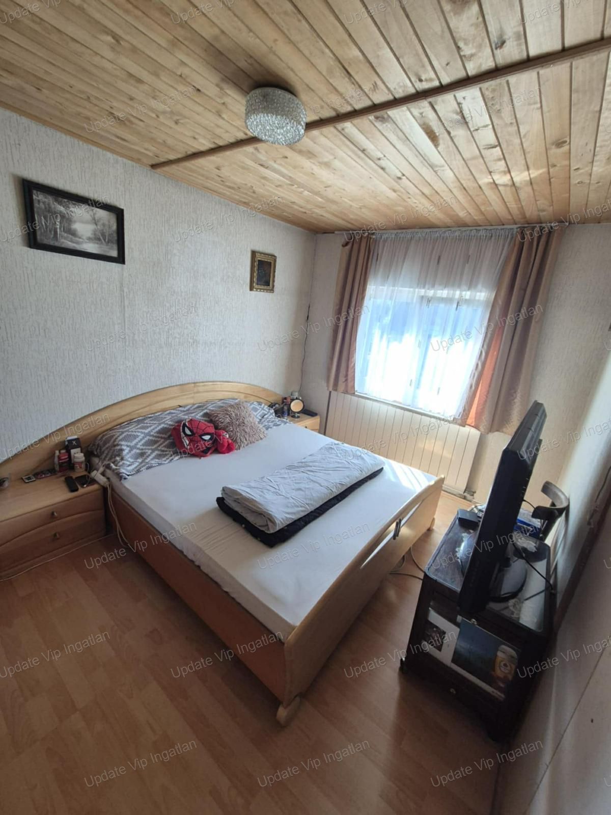 vizjeles_6235078
