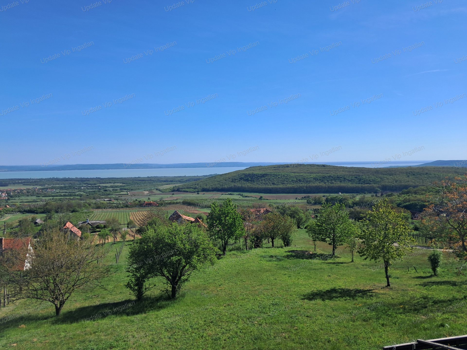 vizjeles_6174746