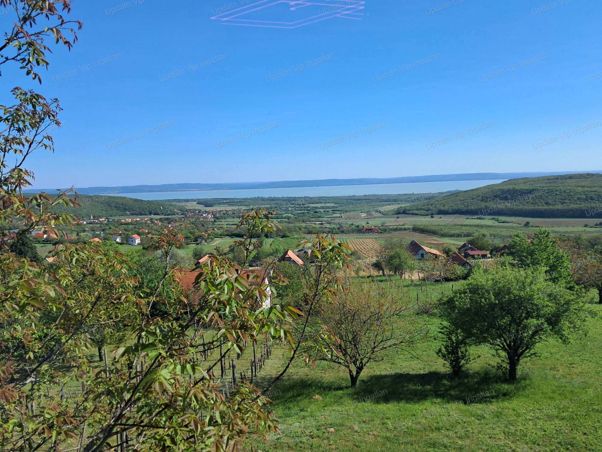 vizjeles_6174748