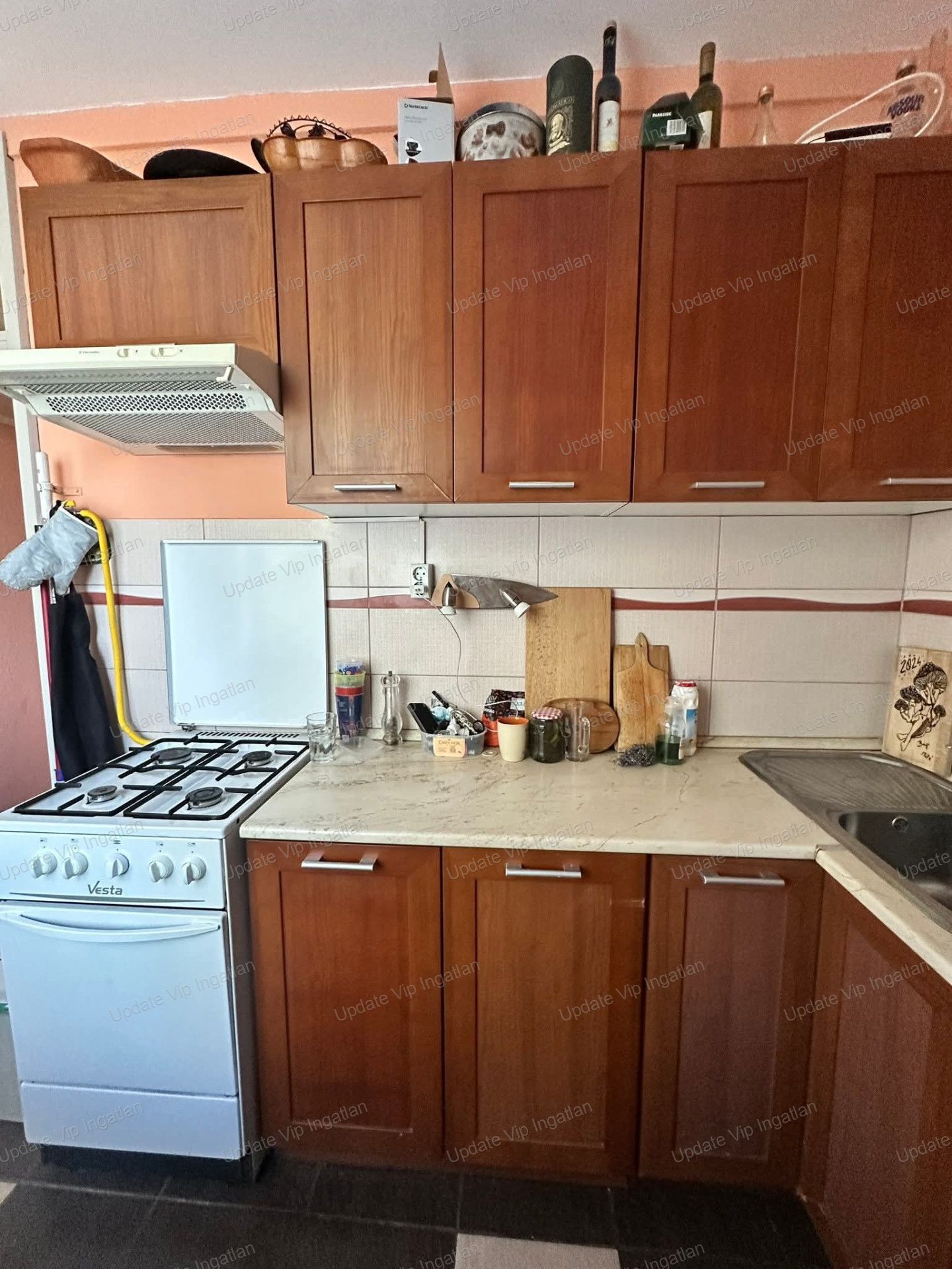 vizjeles_6217437