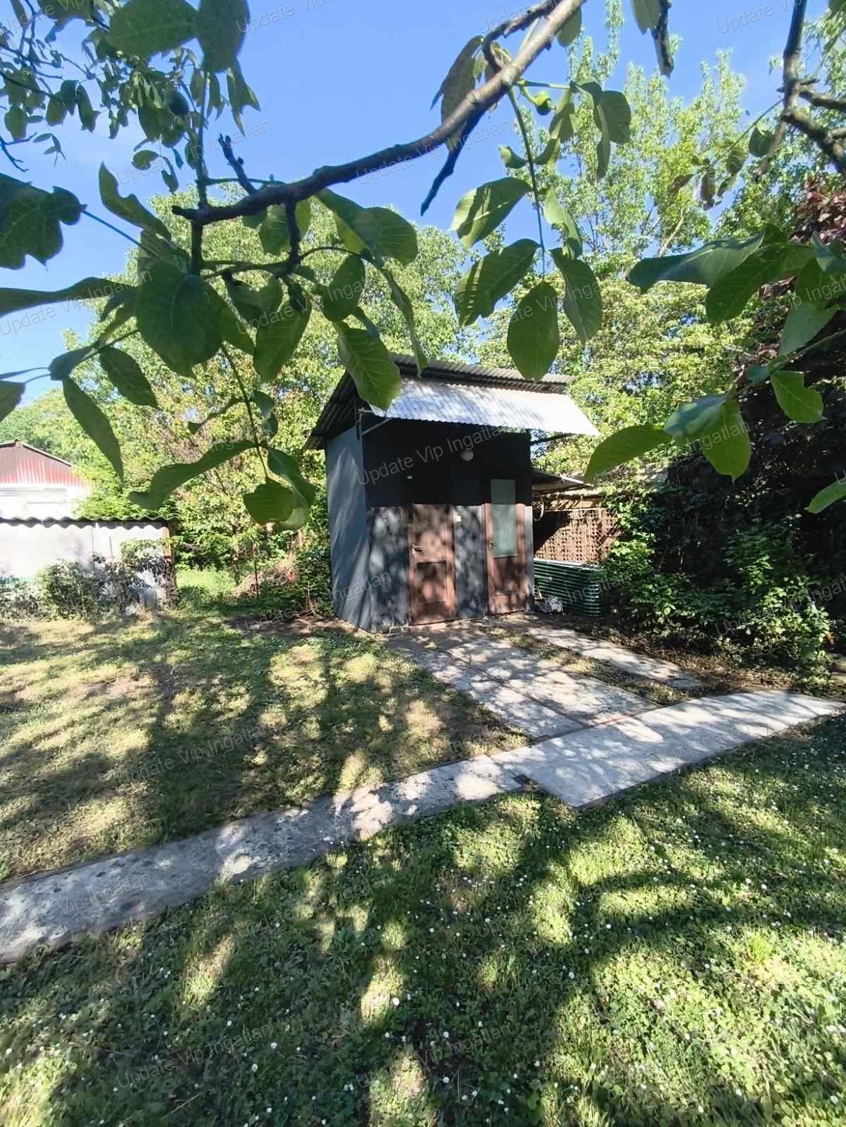 vizjeles_6255091