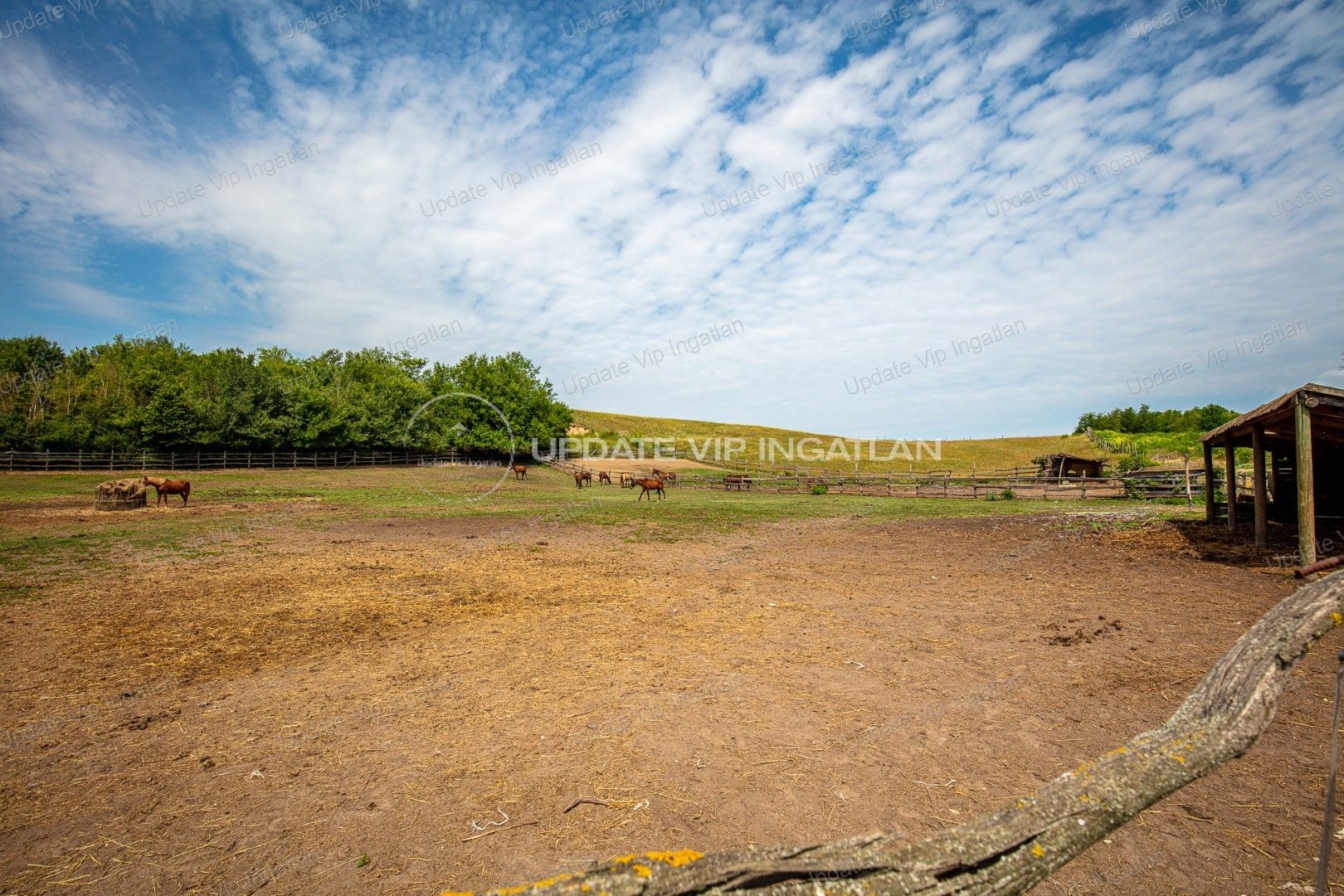 vizjeles_4405467