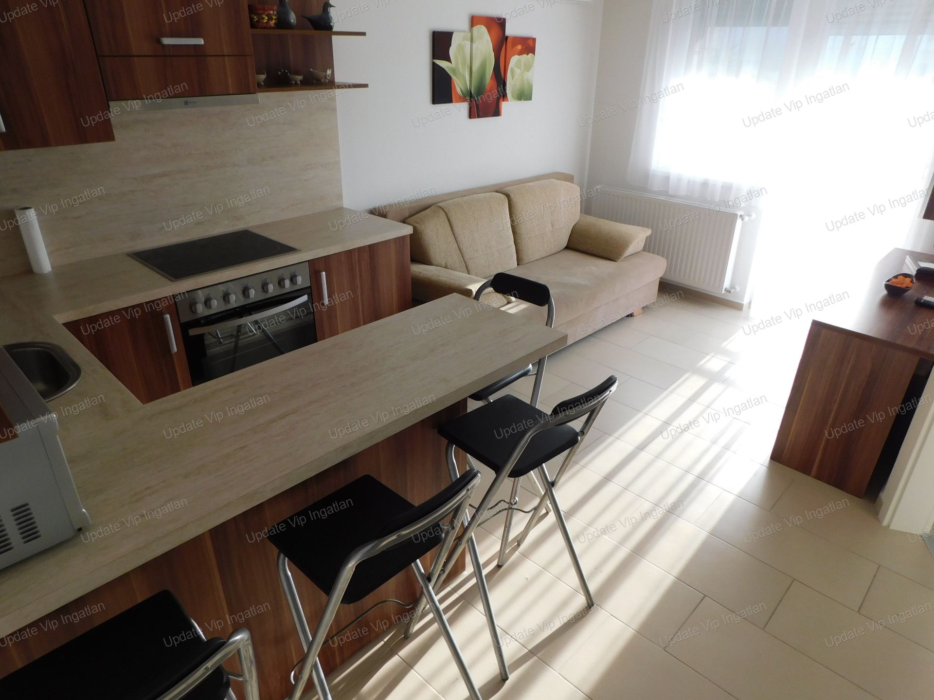 vizjeles_4767015