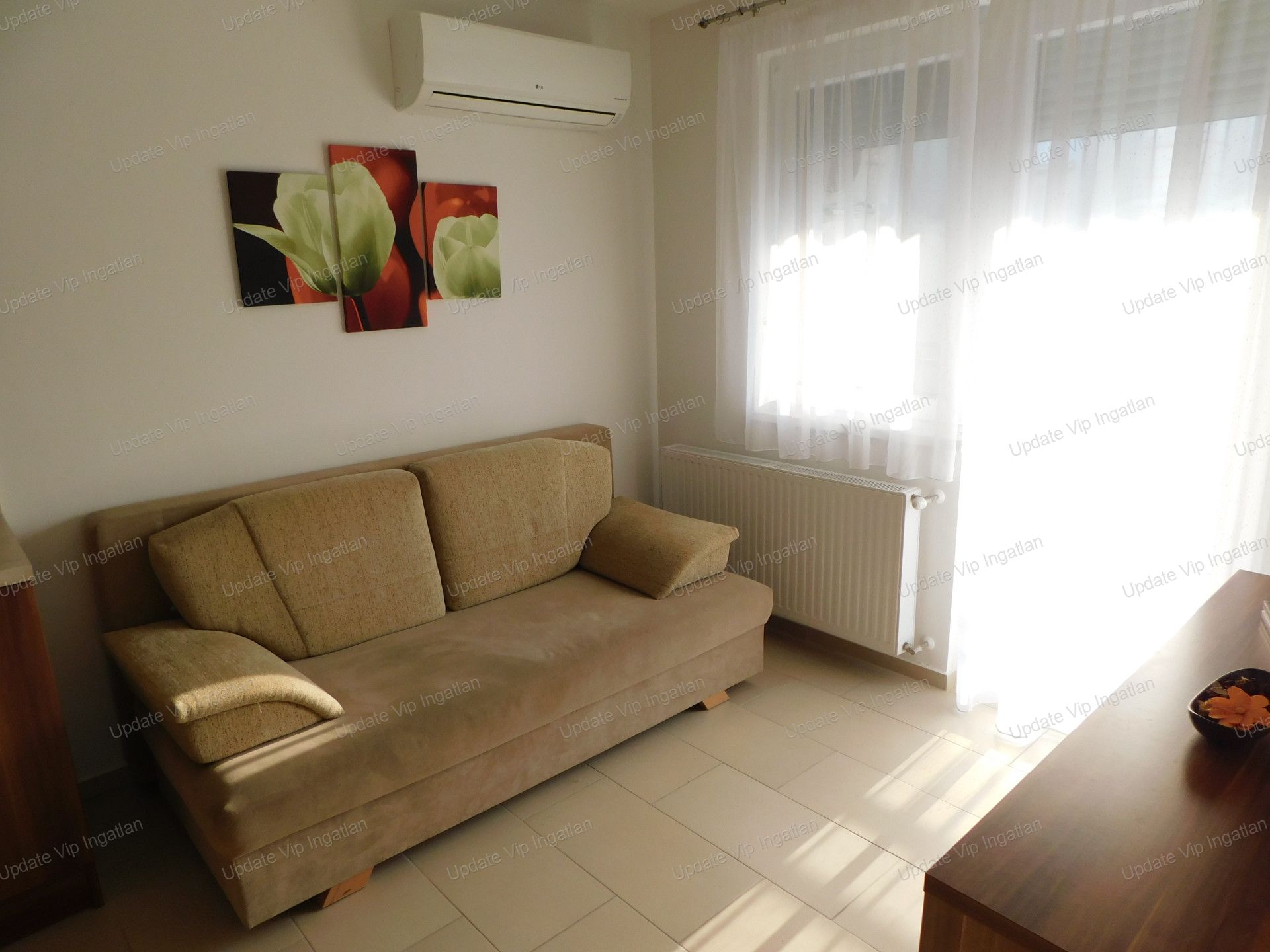 vizjeles_4767016