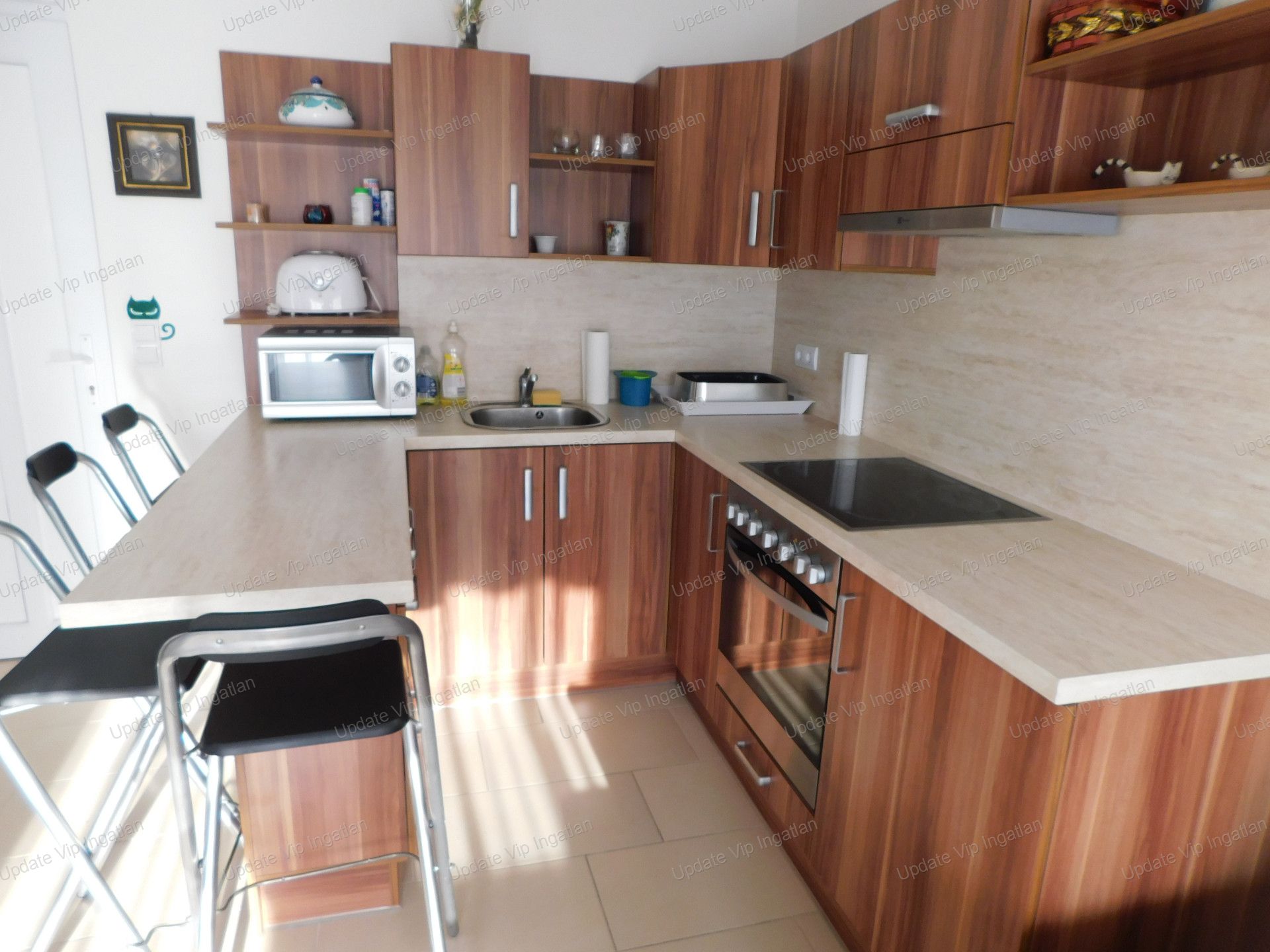 vizjeles_4767022