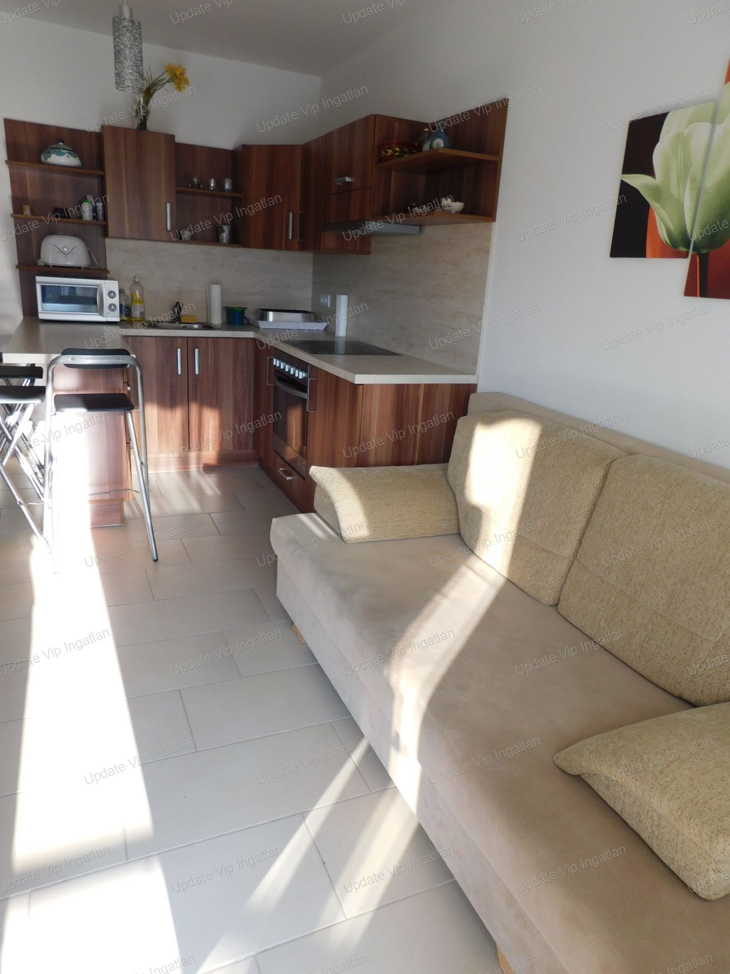 vizjeles_4767028