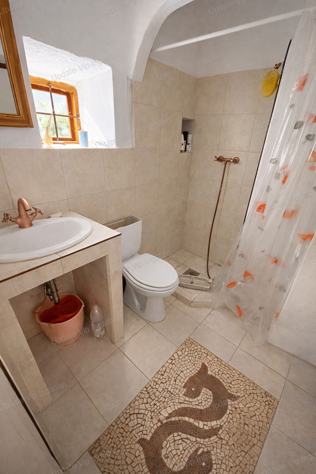 vizjeles_6085856