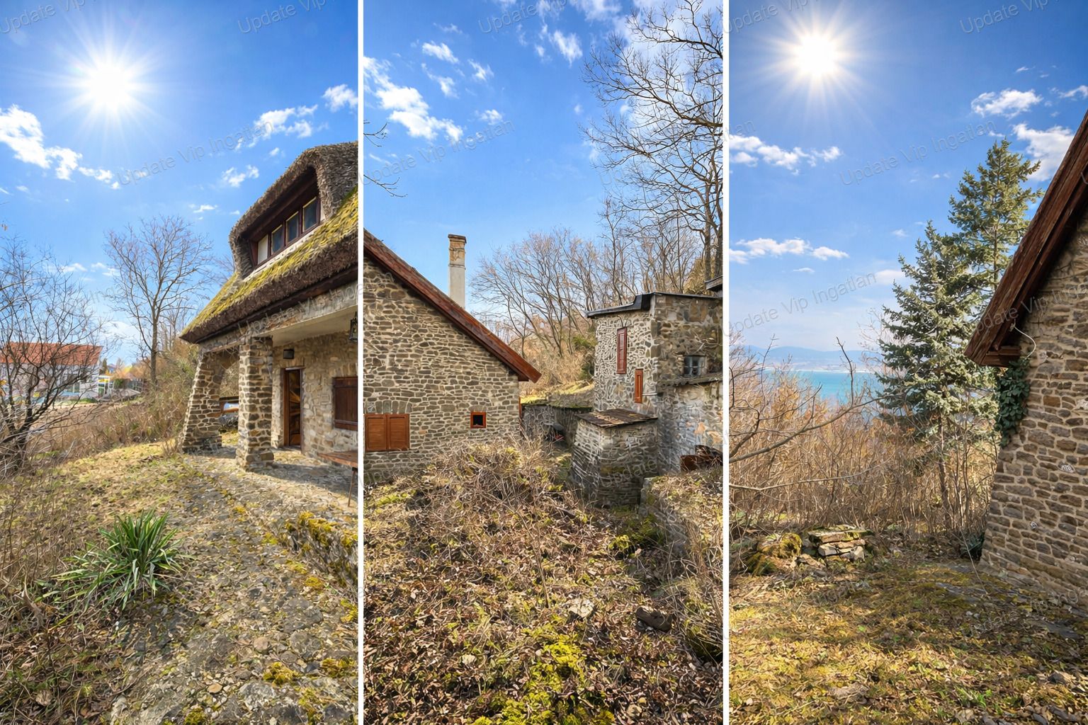 vizjeles_6085862