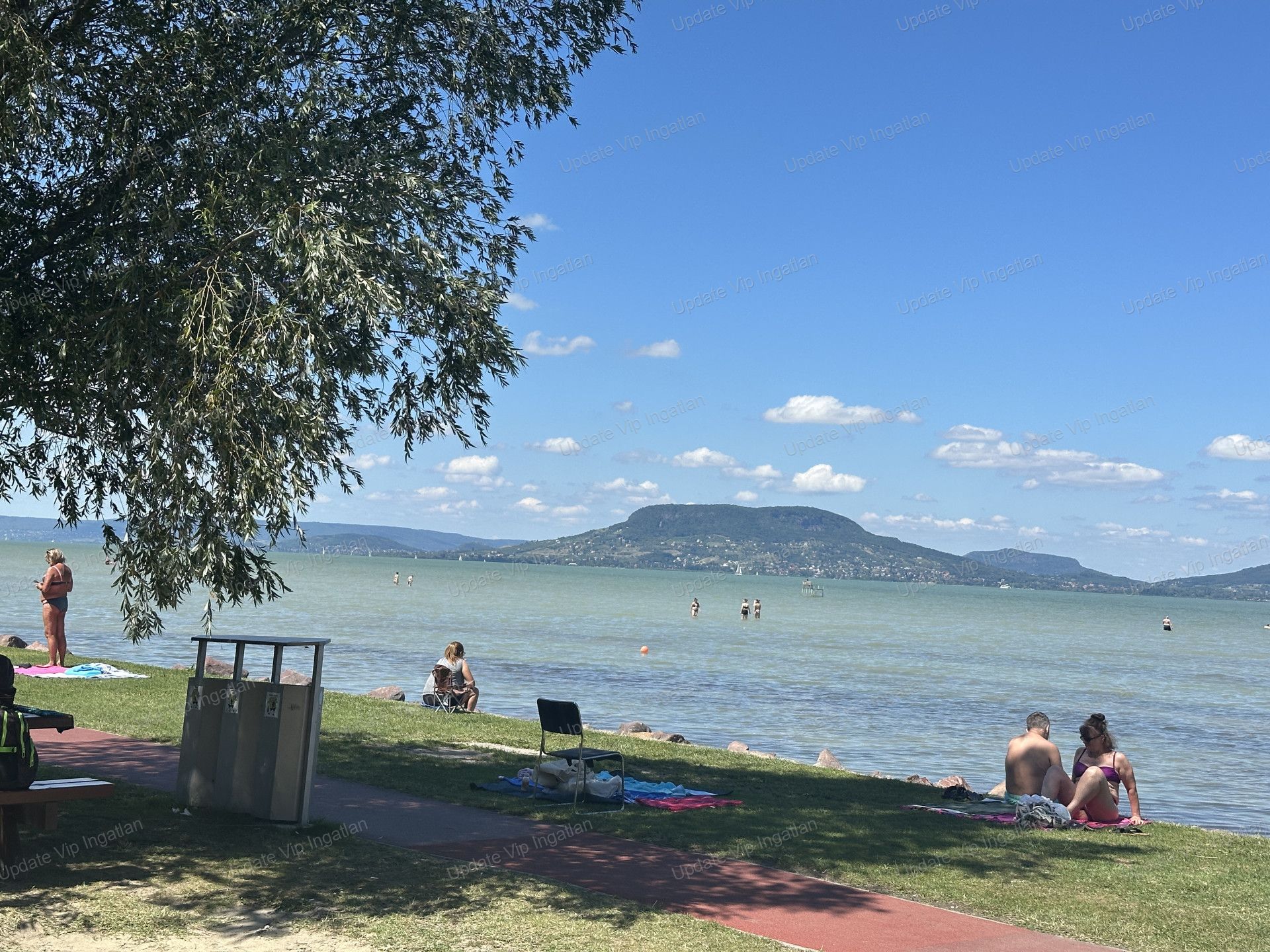 vizjeles_6147832