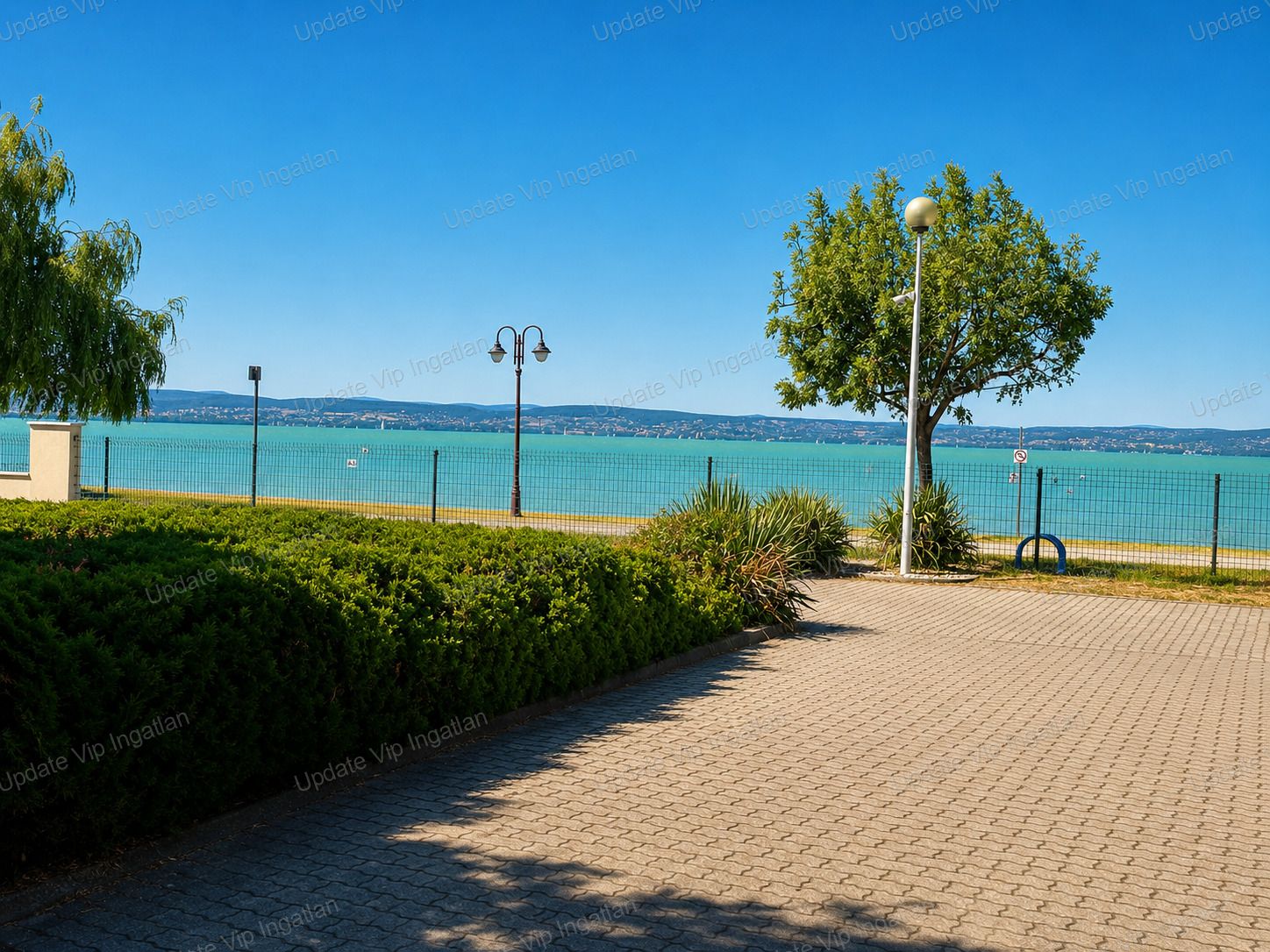 vizjeles_6294189