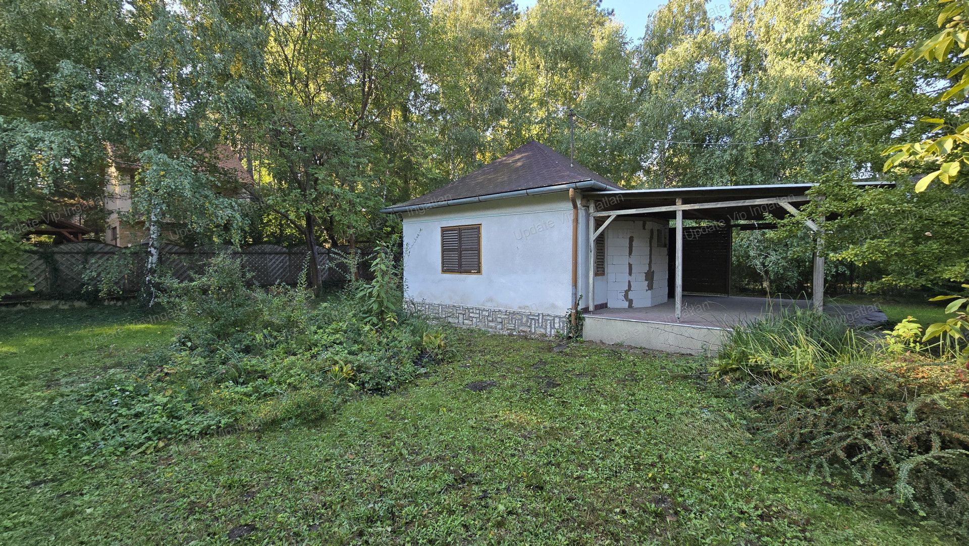 vizjeles_5572456