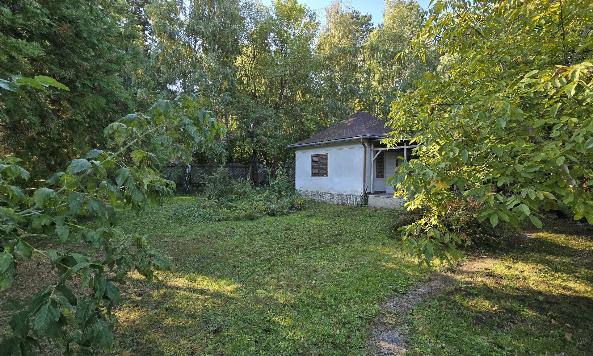 vizjeles_5572460