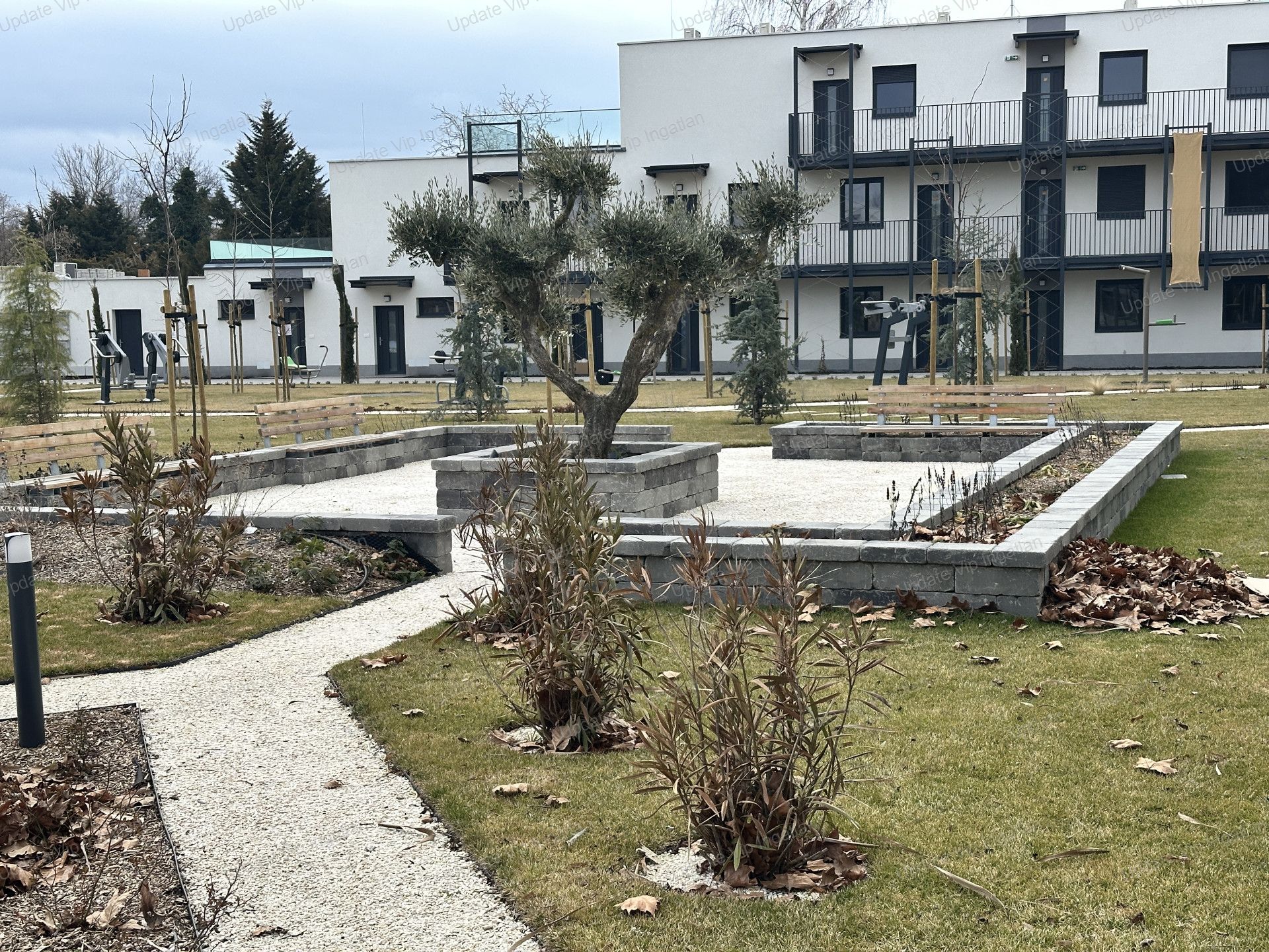 vizjeles_6085680