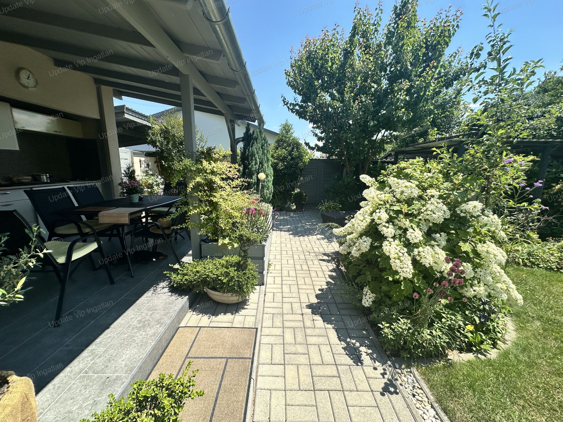 vizjeles_6245887