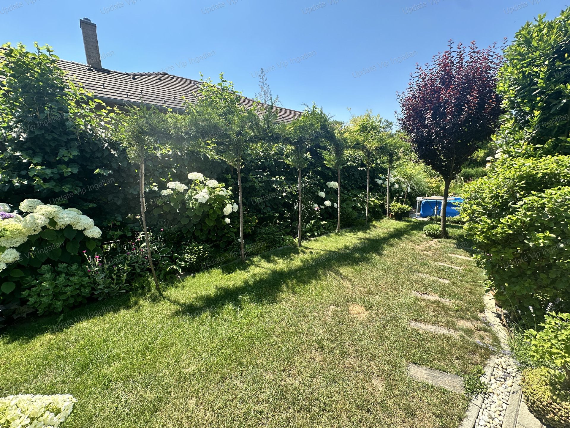 vizjeles_6245891