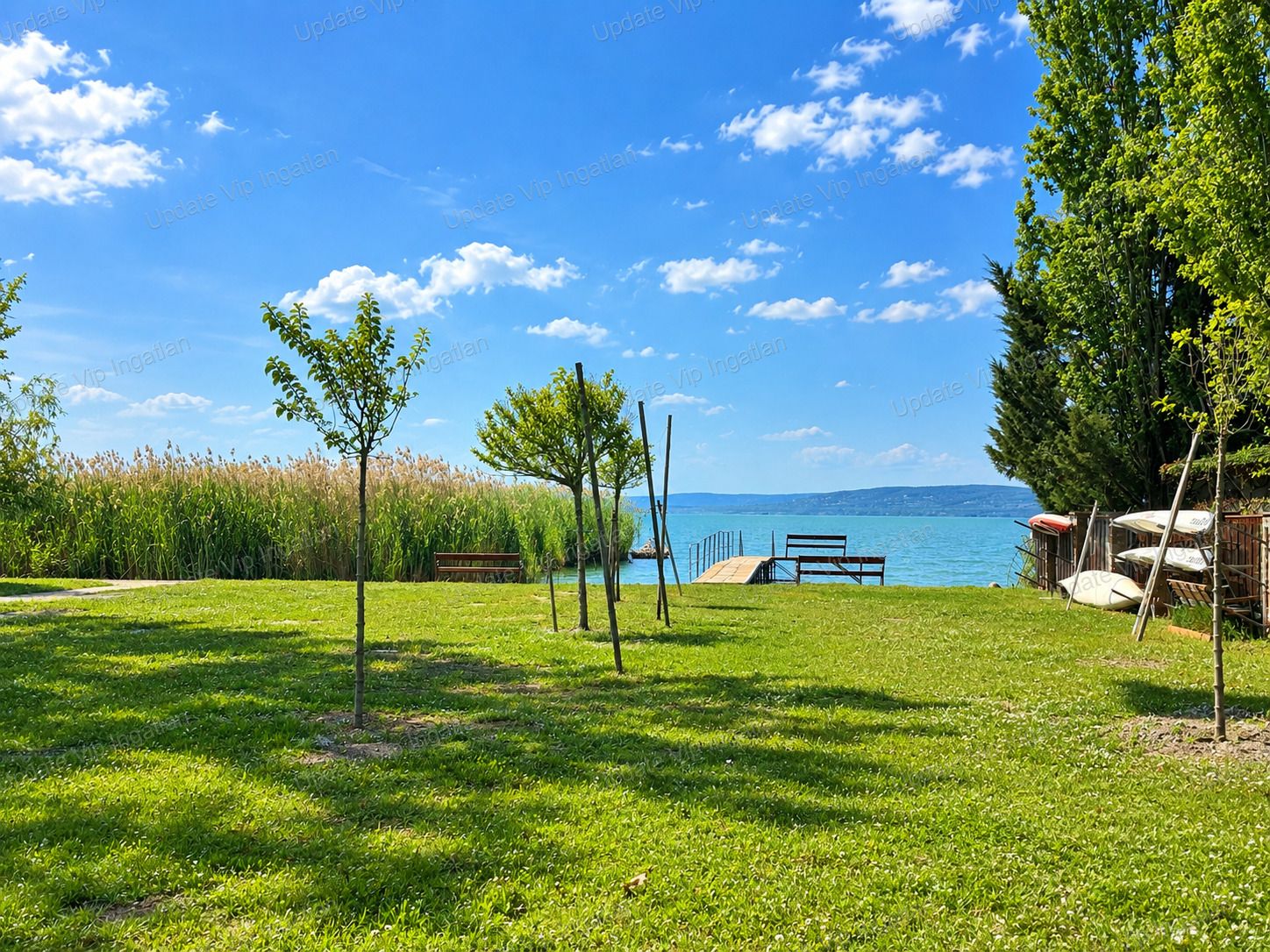 vizjeles_6324037