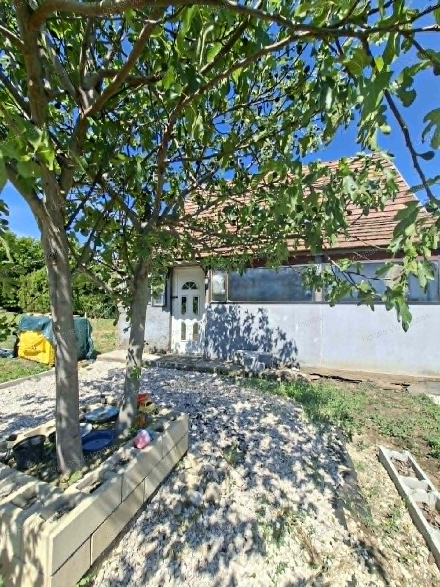 vizjeles_6206148